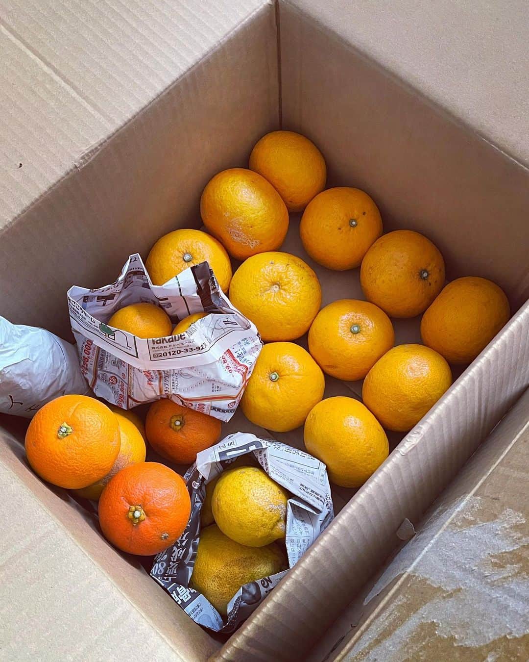 shin -SAKE instructor-さんのインスタグラム写真 - (shin -SAKE instructor-Instagram)「淡路島の柑橘たちと野菜。  いつもありがとうございます。  何気に桜と金柑の枝木が添えられてる。 気が利いてるなぁー。  #柑橘」3月12日 11時57分 - shim_8k
