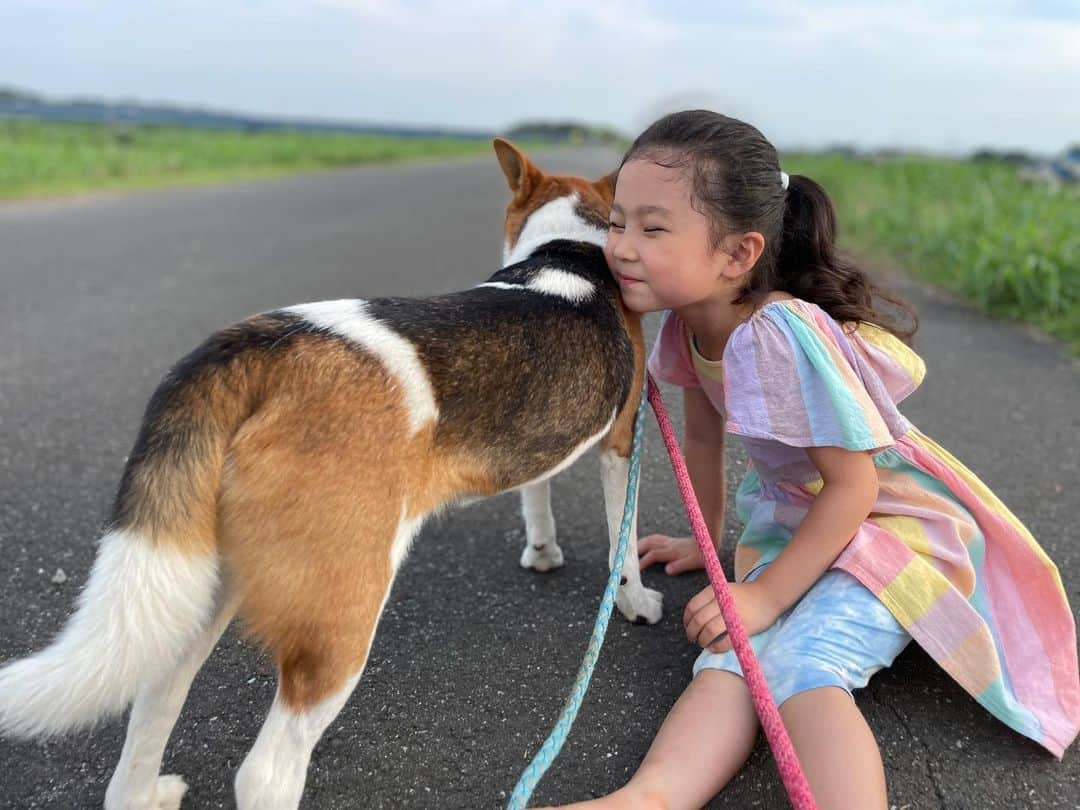 西方凌のインスタグラム：「みんなの動物園、最終回までありがとうございました。   子供たちにとっても、貴重な経験となりました。 10日間の預かりボランティアを終えた後も、何度か施設へ会いに行きました。 その度、ビグはちゃんと子供たちの事を覚えてくれていて😌   何度も迎えいれる事を考えましたが、現在の生活の中でビグが満足する程のお散歩時間を作れないことや家を空ける時間も多い事など、安易に決めきれずにいました。 そんな中、番組を観て下さった知人より家族に迎えたいとの相談を受けました。 施設の方を紹介し、きちんとした審査や手続きを経て昨年10月に新しい家族の元へ😌 今はそれはそれは幸せに暮らしています。   私たちも有り難い事に、ビグといつでも会える距離にいます。 一緒にお散歩へ行ったり、ドッグカフェへ行ったりしています。   また、これからもビグと遊んだ時は様子を投稿していきたいと思います😊 ありがとうございました🙌   写真は預かり終了後に施設へ会いに行った時の写真🐶     #にゃいるどはーと」