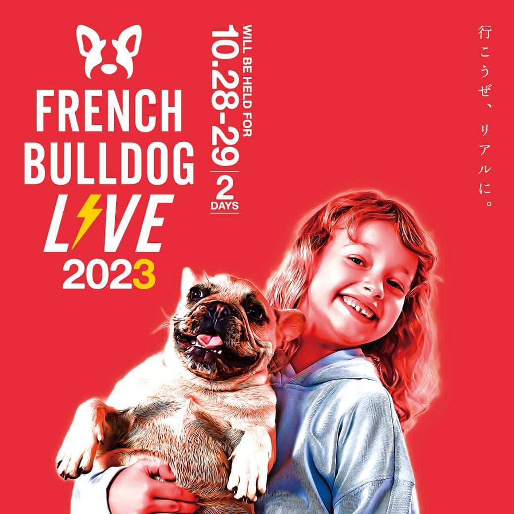 French Bulldog Lifeさんのインスタグラム写真 - (French Bulldog LifeInstagram)「【開催決定！】フレブルLIVE-2023-今年は2days！行こうぜ、リアルに。  昨年初開催となったリアルイベント『French Bulldog LIVE（フレブルLIVE）』。  お約束通り、2023年も開催することが決定！  今年は「10/28（土）29（日）」の2days⚡️  ★詳細はフレブルライフをチェック！ 昨年のアフタームービーも公開中です！  ※プロフィールまたはストーリーズからどうぞ @french.bulldog.life  #フレブルLIVE #フレブルライフ」3月12日 17時01分 - french.bulldog.life