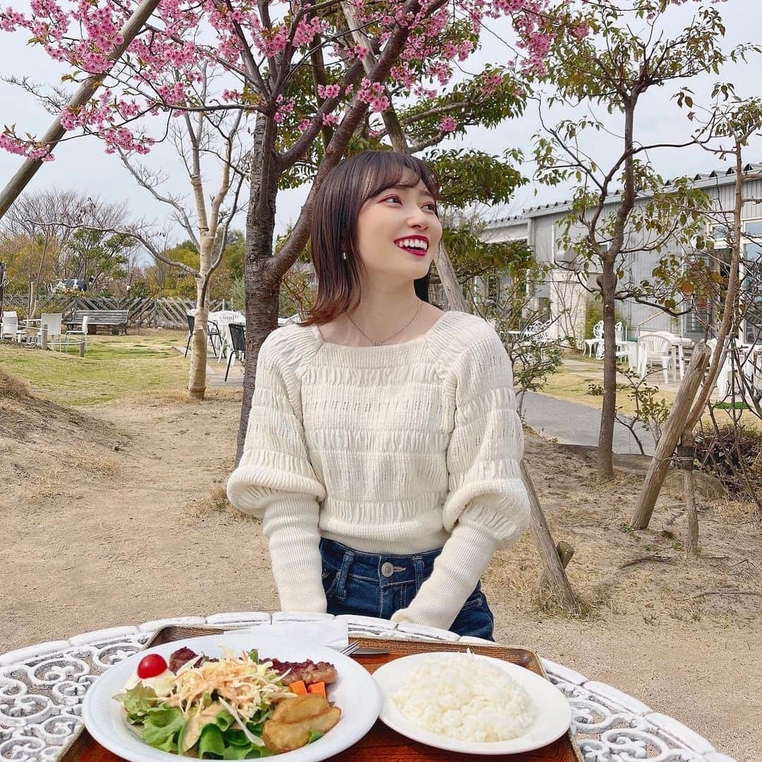 末井櫻子のインスタグラム：「🦢 ． ． 前から気になってたバッケンモーツァルト廿日市工場🏭🍪 わんこOKと聞いて愛犬連れてランチがてら🐕‍🦺 ． ． 今日は暖かかったからテラス席で快適でした◎ タイ人のシェフが作るタイランチも美味しかった👨🏻‍🍳🇹🇭 ． ． ． 席数も多いしこれからもっと色んなお花が咲くみたいだから定期的に行きたいスポット追加✍🏻🤍 ． ． ．  ୨ෆ୧┈┈┈┈┈┈┈┈┈┈┈┈┈┈┈┈┈┈୨ෆ୧ 📍バッケンモーツァルト廿日市工場直売店 📍住所: 廿日市市木材港北15-24 📍座席:店内/テラス席両方あり(テラス席多め) 📍わんこOK🐕‍🦺」