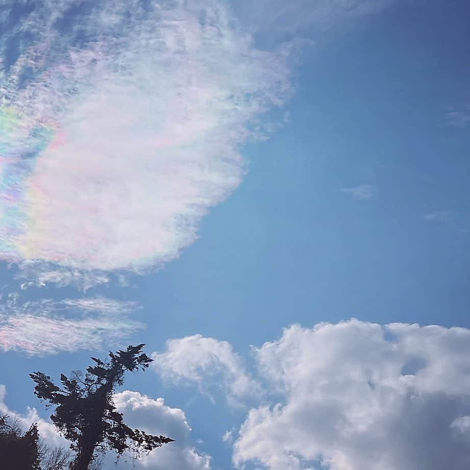 高山一実さんのインスタグラム写真 - (高山一実Instagram)「見て！左に彩雲！」3月12日 17時55分 - takayama.kazumi.official