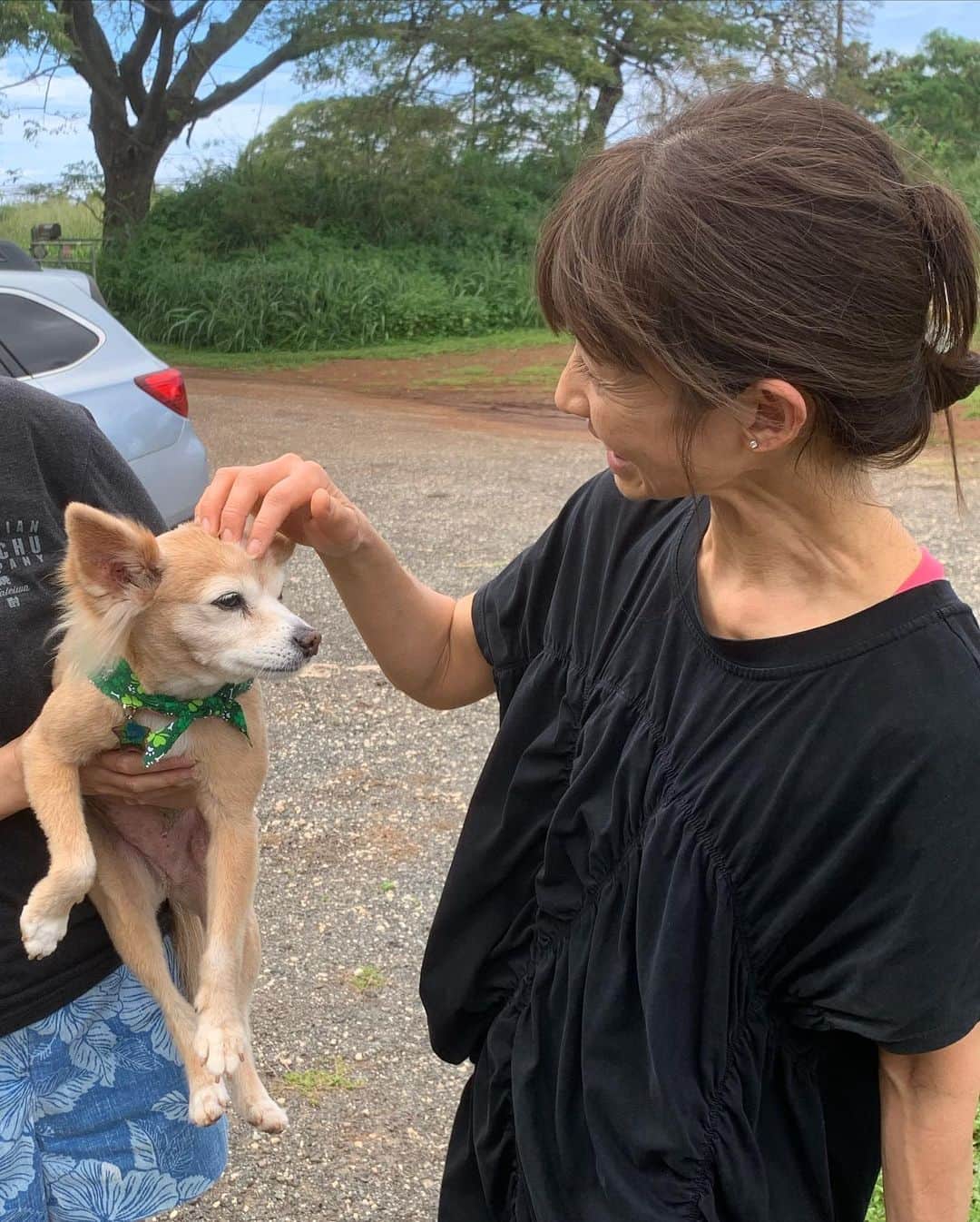 花田美恵子のインスタグラム：「ノースショアの 素敵なご夫妻と イモちゃん🐕がお迎えしてくださる ハワイアン焼酎の醸造所まで 娘の運転で行ってきました  ずっと運転手役だったけど 久しぶりにハワイの景色を楽しむことができました♪  イモちゃん トリミングに行ったばかりだったそうで 可愛い緑のバンダナ巻いて おめかししてました😍  お家でお留守番してくれてるワンコのこと 思い出します  #hawaii #northshore #hawaiianshochu #namihana  #ハワイ #波花 #芋焼酎 #おすすめ」