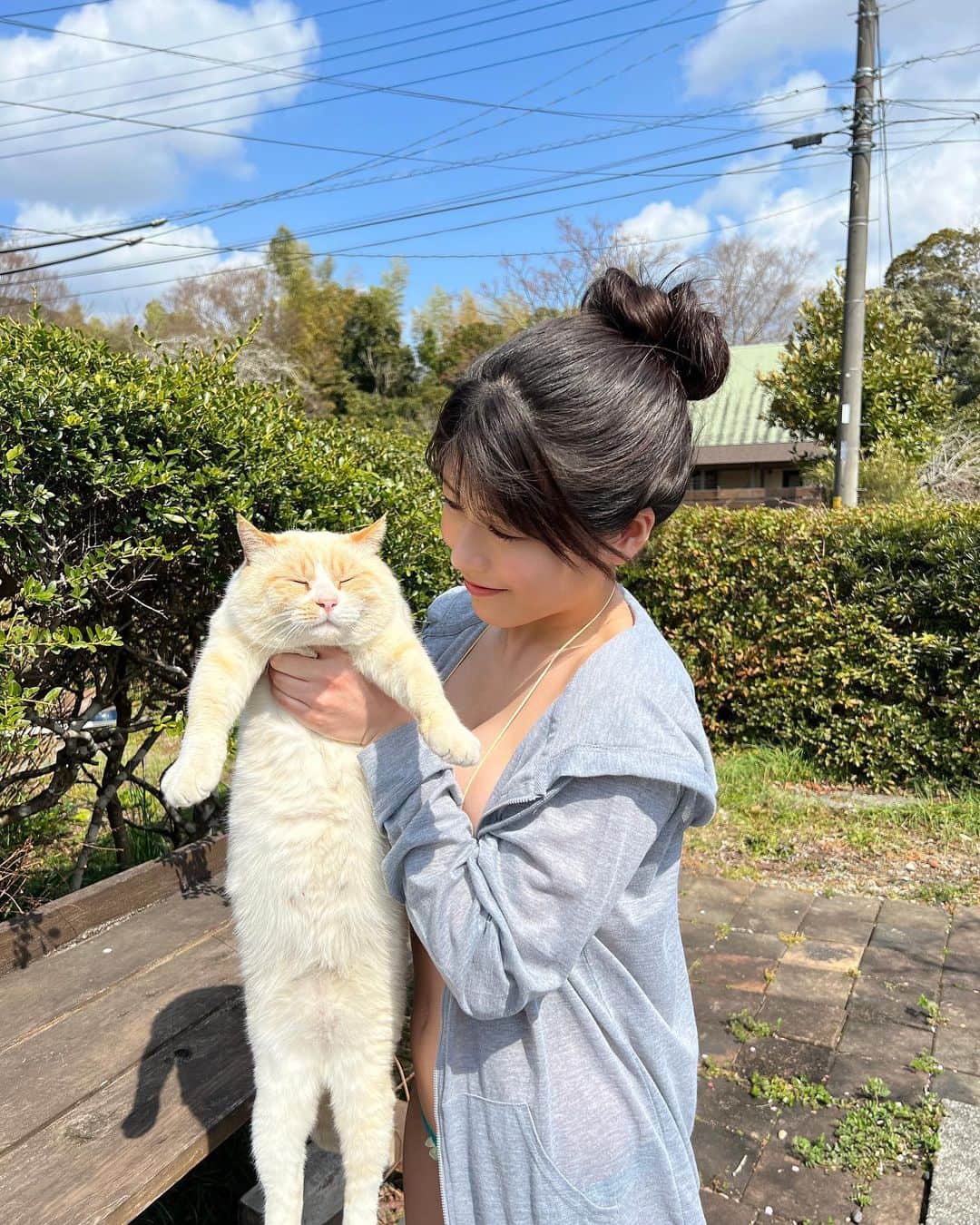 ちとせよしののインスタグラム：「ロケ現場で出会った猫ちゃん🐈🐾 人懐っこくてずっとお腹見せてゴロゴロしてくれました(⑉･ ･⑉) 癒された~♡  #猫 #オフショット」