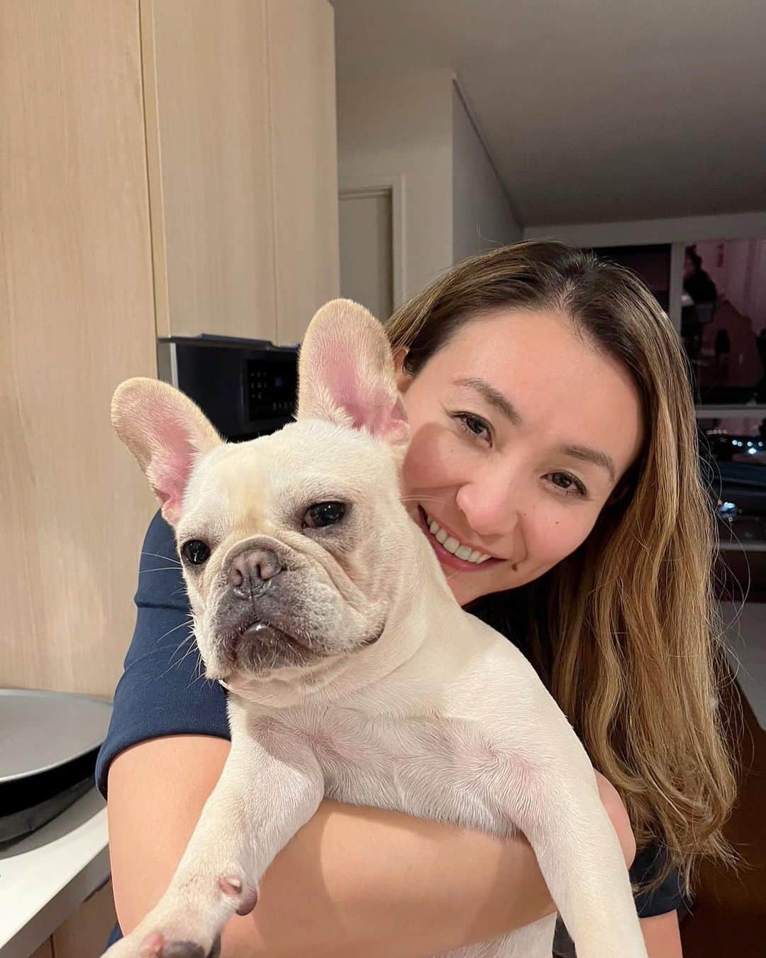 小池絵未のインスタグラム：「Love Love Love 3匹のフレブルちゃん🐾🧸❤️   #frenchie #frenchbulldog #フレブル　#ブサカワ　#ハワイ生活　#hawaiilife #みんなありがとう　#positivevibes #stuffedanimal #ぬいぐるみ犬」