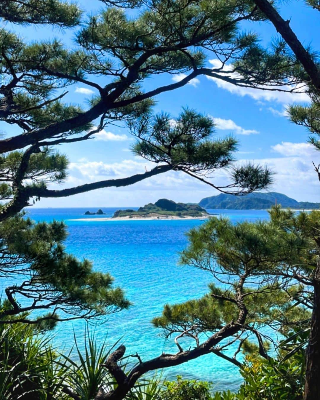 NAHOさんのインスタグラム写真 - (NAHOInstagram)「#beautifulisland 🏝♡ . . ケラマブルー💙💙 この景色の見え方すきっ🌏🌿 . . 島に戻ってからの今、朝はホエールウォッチング協会と夜は飲食店で働きながら毎日すっごく楽しく過ごしているよ💋 なにもかもが楽しいっ☺︎💕HAPPY💕 . . 今年はもっともっと自分の好きを追いかけて、やりたい事にどんどん挑戦していきます🏝♡ シーズン中はまた色んな所でお世話になります🌈 ついにシュノーケルガイドのお仕事も🤿💙 詳しくはまた今度っっ✍️🎶 みんな座間味島にあそびにおいでーっ🐠🌺 . . . #NAHO #nature #zamami #zamamiisland #okinawa #photography #photo #beach #ocean #island #沖縄 #座間味島 #座間味 #座間味ブルー #ケラマブルー #海 #島生活 #沖縄移住 #沖縄移住生活 #自然 #自然が好き」3月12日 21時05分 - naho25__kai_noa