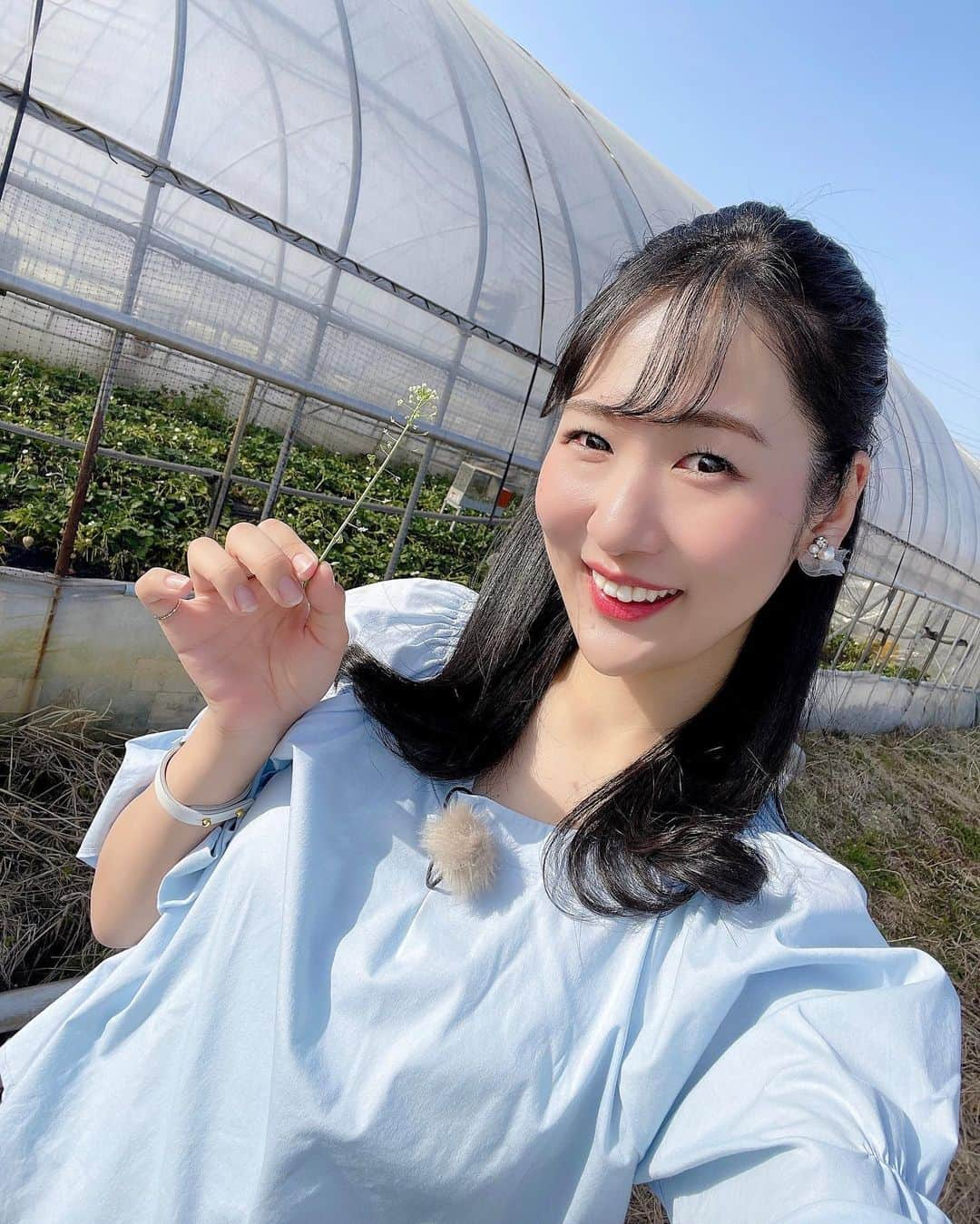 宮崎麗奈のインスタグラム：「． ⁡ ロケ中に見つけたぺんぺん草🌱 ハートがついてるみたいで可愛いですよね♡ ⁡ 小さい頃、よくこうして遊びました(2枚目動画)♩ みなさんもやりましたか？ ⁡ 私は「ぺんぺん草」って言ってるけど 「ナズナ」とも言うらしいですね☺️ ⁡ ⁡ ⁡ #ぺんぺん草 #ナズナ #ロケ #ケーブルテレビ #アナウンサー #フリーアナウンサー #宮崎麗奈」