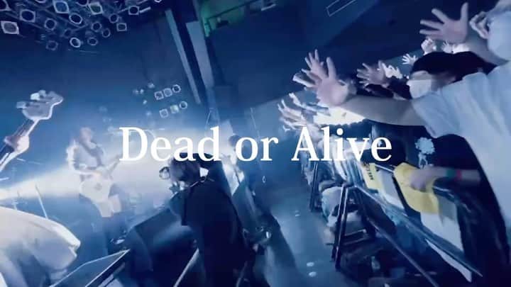 リアルのインスタグラム：「【📢ライブ映像公開中📢】 #スペシャ のロックバンド応援プロジェクト #GoldKids   (@goldkids_sstv )とЯeaLのコラボ企画📺  第三弾の「Dead or Alive」ЯeaL公式YouTubeチャンネルから公開中 youtu.be/HeiaSggkvQE #ЯeaL #DeadorAlive」