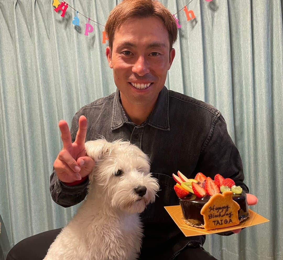 江越大賀のインスタグラム：「30歳になりました😊 今日は家族にお祝いしてもらいました🎂  ケーキ狙われてます🤣  #シュナウザー #道産子 #3月生まれ #名前はチェル」