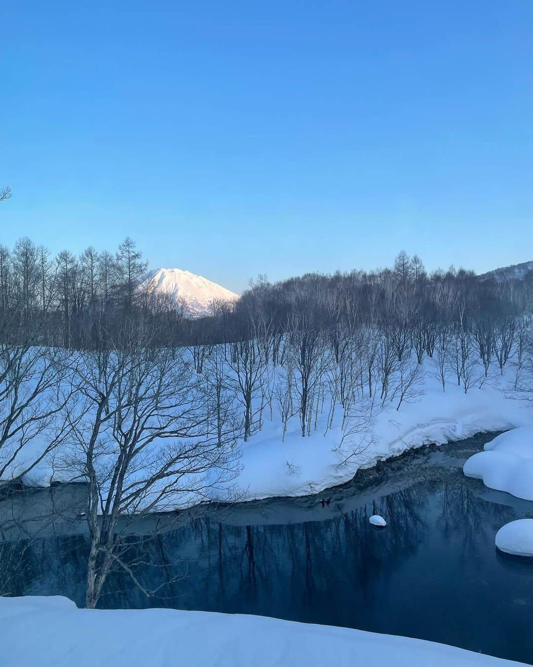 松田紗和さんのインスタグラム写真 - (松田紗和Instagram)「今年初旅✈️☃️❄️ 楽しみにしてたお宿♨️ 温泉も食事も最高でした。癒された〜☺️♡  #北海道旅行#坐忘林#ニセコ#温泉旅行#北海道ホテル#japantrip#love」3月12日 22時53分 - blueeeee.i