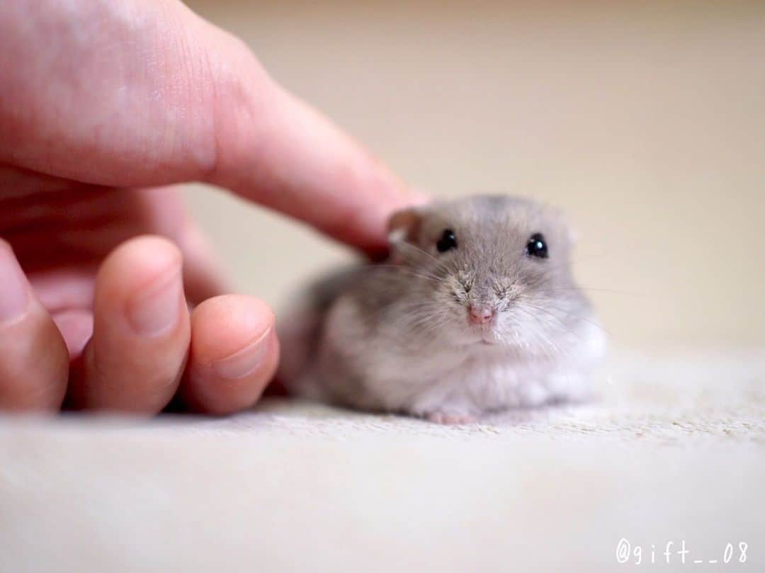 manoのインスタグラム