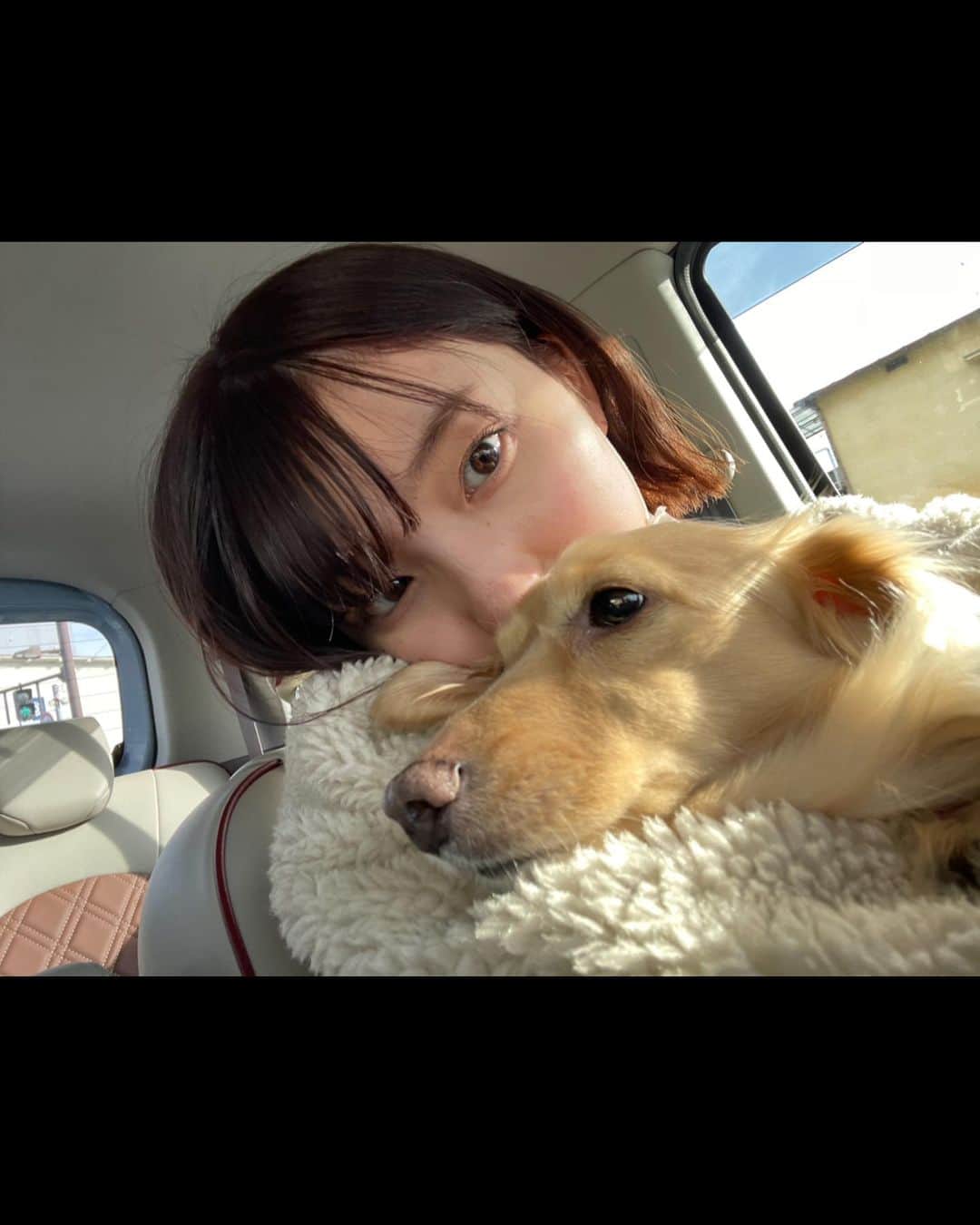 北川玲さんのインスタグラム写真 - (北川玲Instagram)「仲良し姉妹です ひとりっ子なので犬が妹。 溺愛してます　もなか っていいます🐶」3月12日 23時44分 - reistagram.co.jp