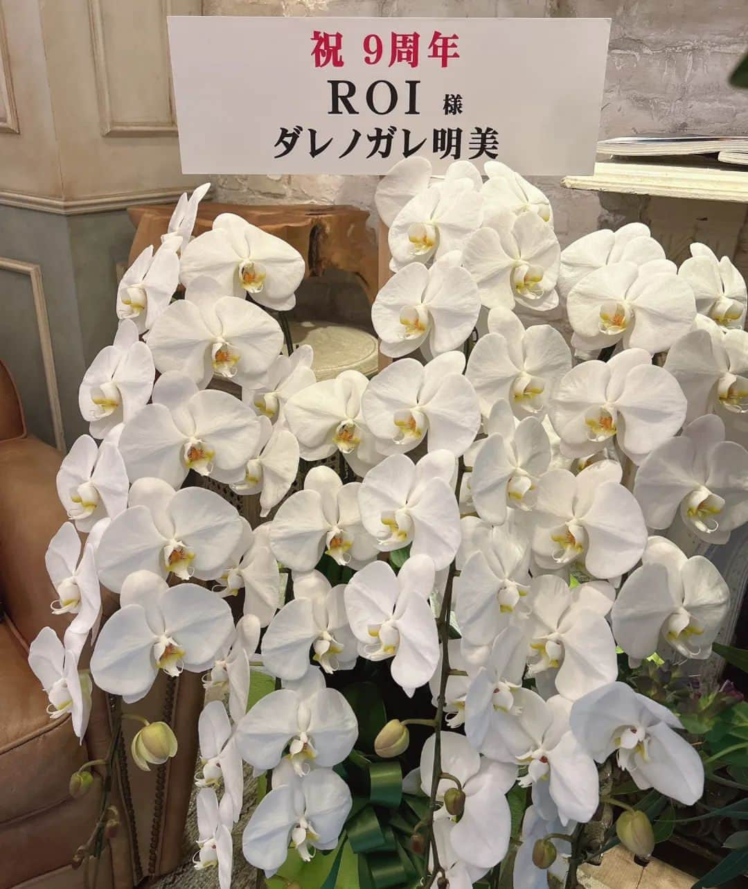 ROIさんのインスタグラム写真 - (ROIInstagram)「ダレノガレ明美さんよりROI.9周年のお祝いのお花を頂きました😍. 胡蝶蘭、とっても綺麗です😭✨. いつもお気遣いいただき有難うございます！これからも宜しくお願い致します🙇. . . #ダレノガレ明美　さん🥰. #いつも有難うございます　. #これからも宜しくお願い致します　. . #ROI #hair #haircolor #hairsalon #hairmake #haircut #hairstyles #青山ヘアサロン #表参道ヘアサロン #青山美容室 #表参道美容室 #美髪ケアサロン #美髪になりたい #美髪チャージ #美髪改善 #髪質改善ピコトリートメント #髪質改善サロン #髪質改善ストレート #髪質改善トリートメント #ヘアスタイル #ヘアトリートメント #ヘアカット #ヘアカラー」3月13日 14時46分 - roi_salon