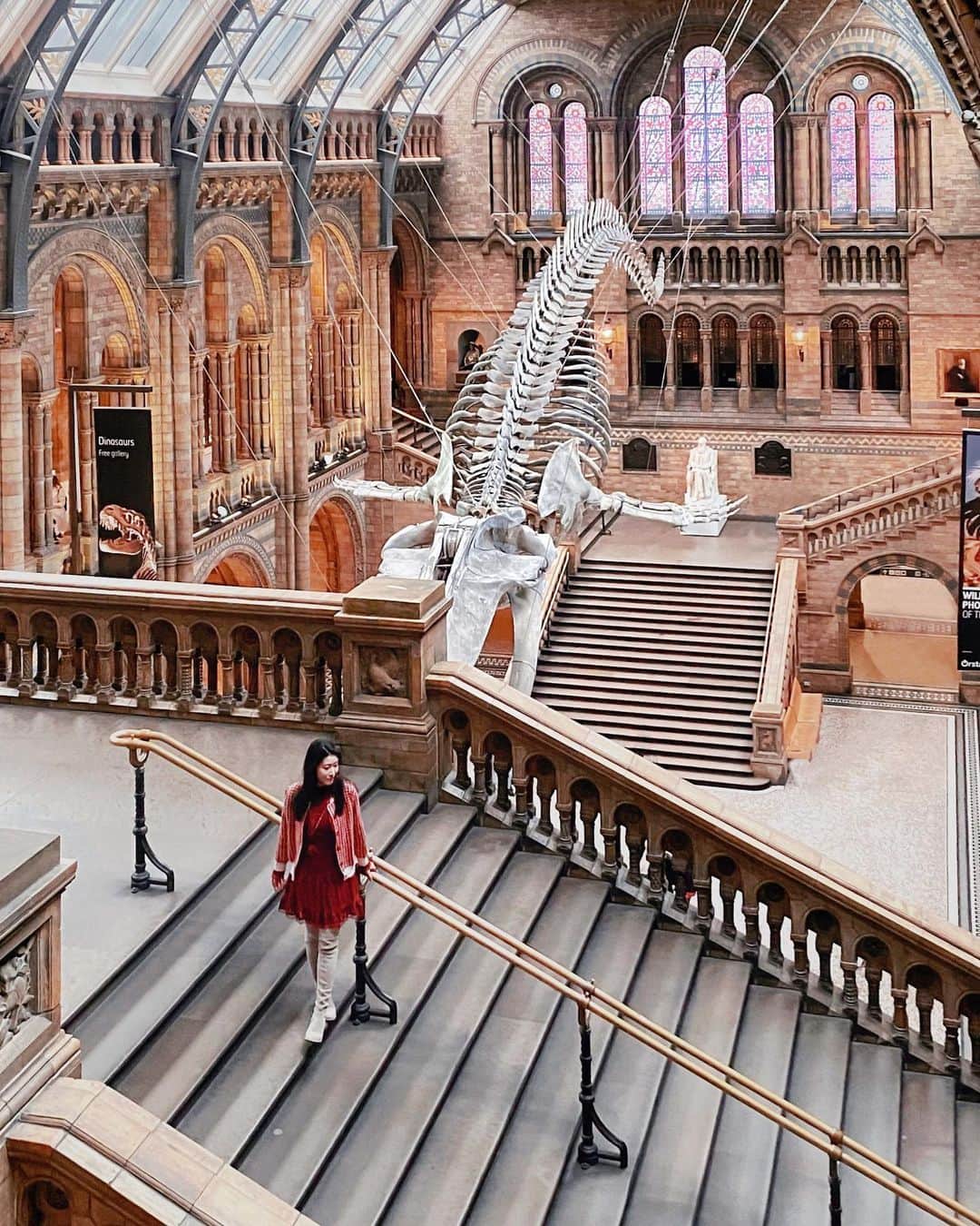 のインスタグラム：「How to take better travel photos in The Natural History Museum 🏛️  Weekday morning✅ 10:00 Time slot✅ 1st Stop Hintze Hall, Green zone✅ Quick shot before the school parties arrived✅  DONE !!📸✨  Have a lovely Monday everyone🐋  當 早 起 鳥 兒 準 沒 錯𓅂  。 。 。 。 。 。 #photoidea #creativephotos #naturalhistorymuseum #museum #london #londontravel #explorelondon #visitlondon #discoverlondon #londoncitylife #travel #travelgram #prettylittlelondon #itssolondon #londonmuseum #uk #beautifulengland #thisisprettyengland #likeforlikes #shoutout #コメント返し #写真好きな人と繋がりたい #カメラ女子 #カメラ好きな人と繋がりたい」