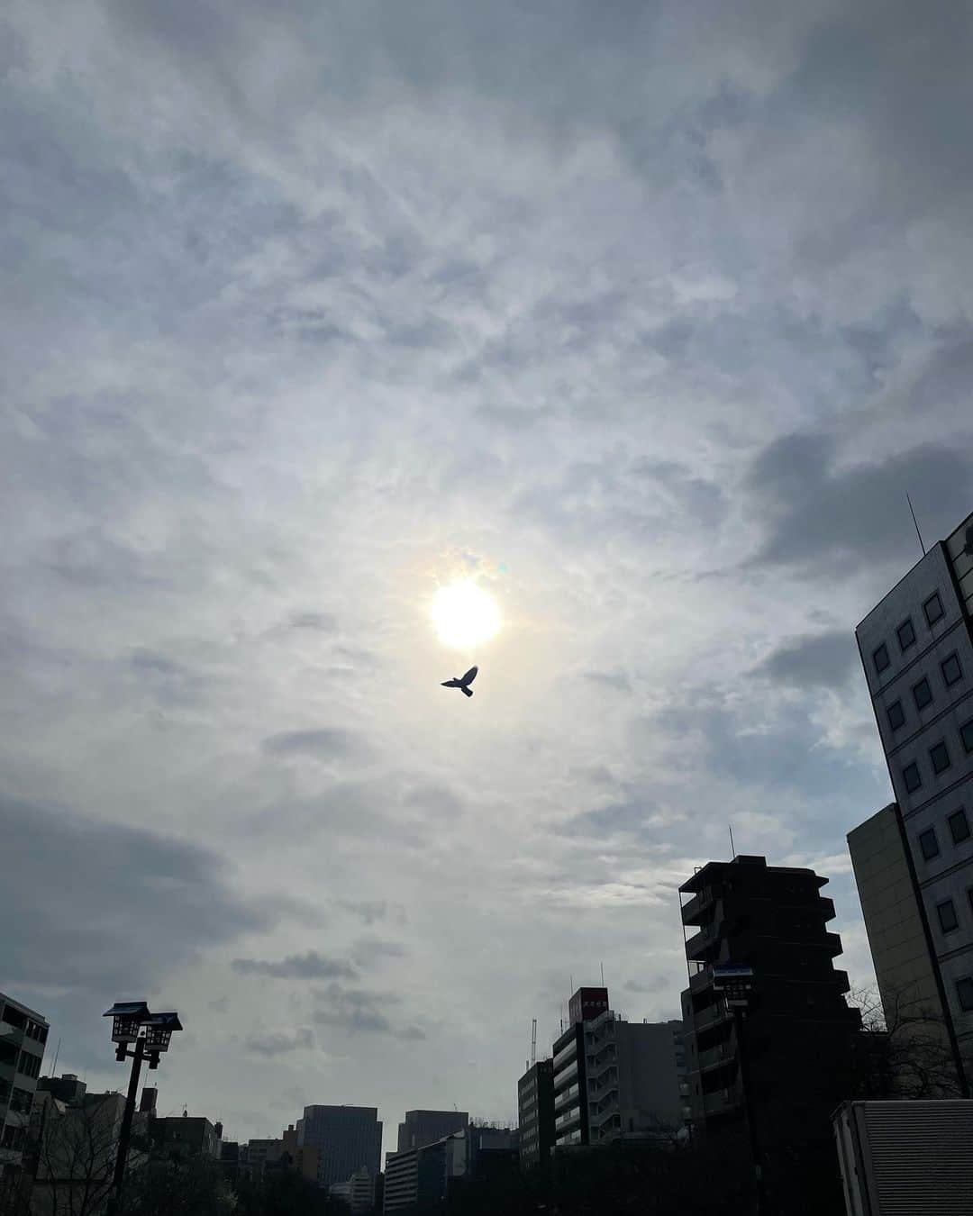 瀬戸口弘樹のインスタグラム：「kawaii🕊🫧✨  #kawaii #japan #sky #sun #PEACE #happy #beauty」
