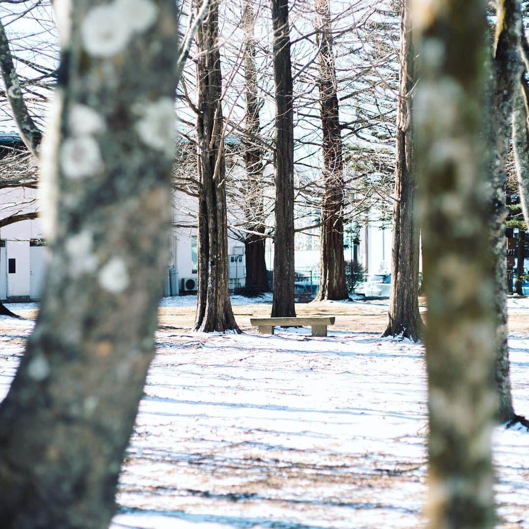 Naokoさんのインスタグラム写真 - (NaokoInstagram)「* * @hotelindigokaruizawa に滞在中、近くの矢ヶ崎公園へもお散歩にいきました。  静かな冬の公園に鳥の声が響いて綺麗だむたなぁ🥺✨  軽井沢では朝をどう過ごすか。 考えるのが楽しみのひとつです。」3月13日 9時35分 - chiaoking