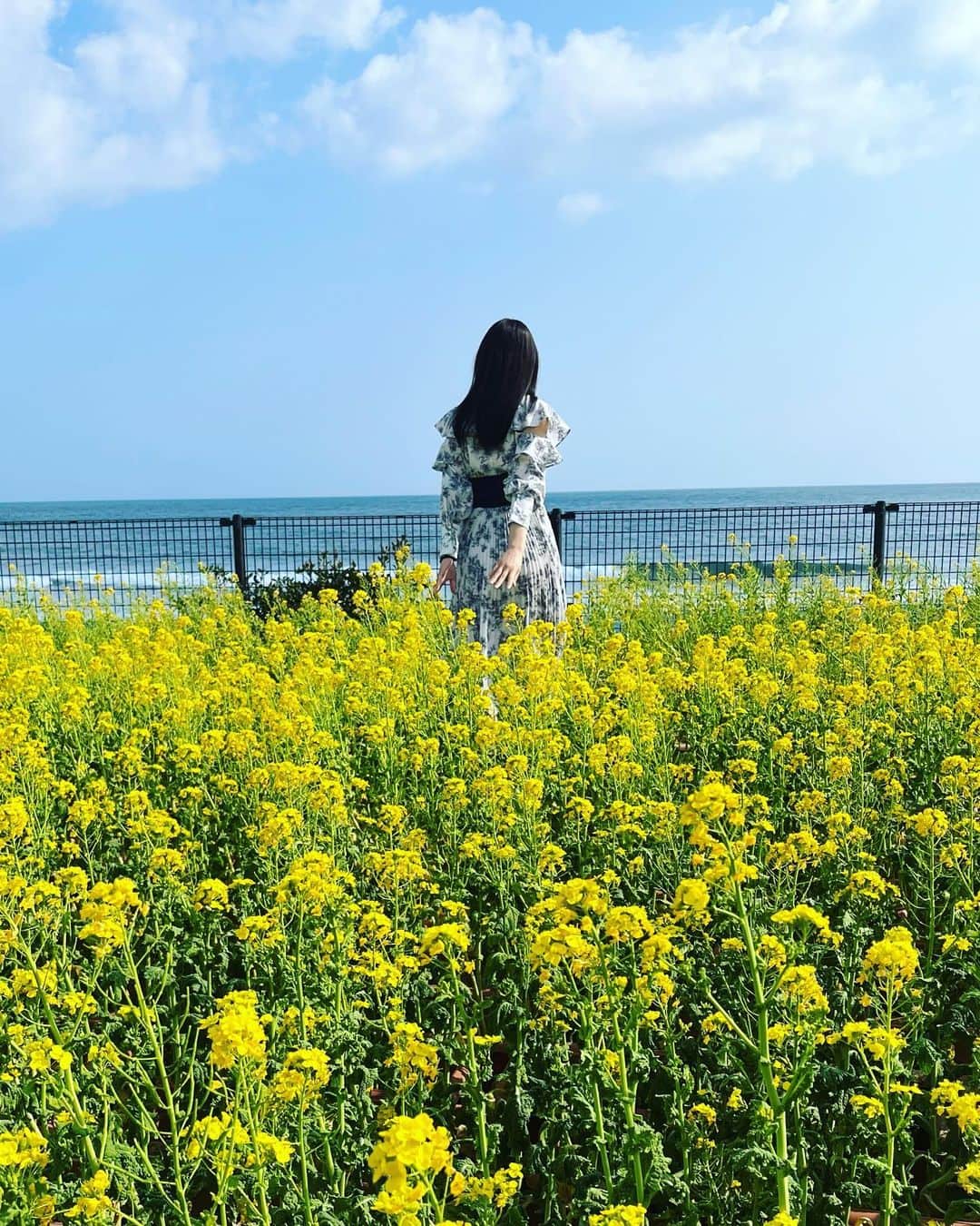 宮村ななこさんのインスタグラム写真 - (宮村ななこInstagram)「春の匂いがした.  #春  #花  #写真  #おでかけ  #photo  #photography  #flower  #flowers  #sea  #portrait  #portraitphotography」3月13日 10時52分 - miyamuchan_001