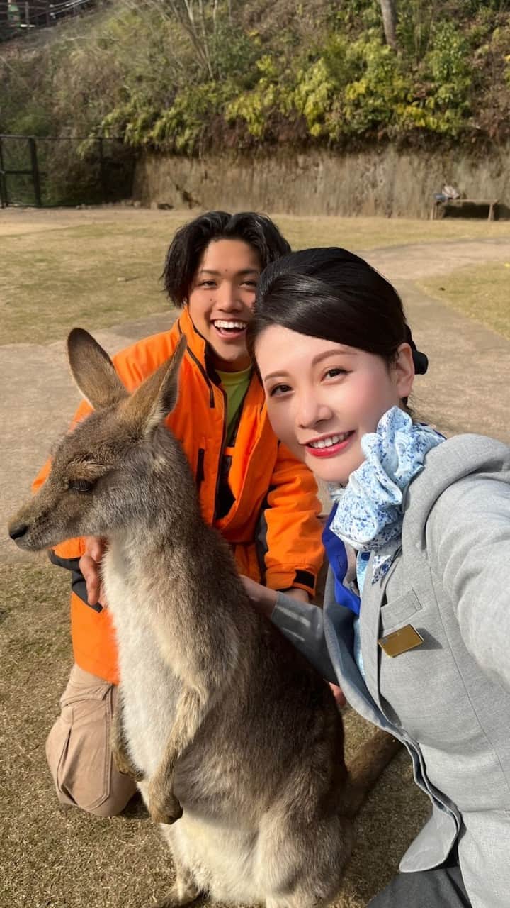 ANAのインスタグラム