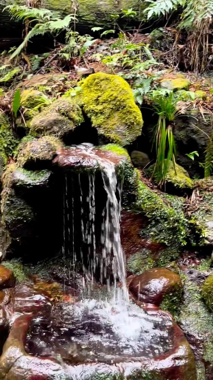 川口レイジのインスタグラム：「Waterfall   洒水の滝」