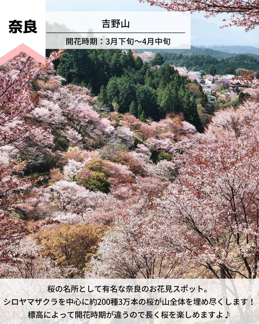旅工房公式さんのインスタグラム写真 - (旅工房公式Instagram)「＼もうすぐ見頃！桜の名所／  #関西 #お花見スポット #桜スポット  皆さんこんにちは！ 暖かくなってきて、昼間はアウターもいらないくらいの暖かさ…☀ 桜のつぼみも歩いていると目に入るようになってきました～！ そんな今日は。お花見スポットを関西に絞ってまとめてみました🌸  ぜひ参考にして訪れてみてください＼(^o^)／ 💚  ━━━━━━━━━━━━━━━ ▽ お写真ありがとうございます❣  📍大阪城公園 @satomi24jp さん 広大な大阪城公園全体を約3000本の桜が埋め尽くす春だけの絶景スポット！ 玉造口には遅咲きの八重桜が咲くのでシーズン最後まで楽しむことが出来ますよ！  開花時期▷開花時期：3月下旬～4月中旬  アクセス▷JR大阪城公園駅 / JR・地下鉄森ノ宮駅 / 地下鉄谷町四丁目駅　下車すぐ   📍淀川河川公園背割堤地区 @masa_nikonist さん 1.4kmに渡って満開のソメイヨシノがピンクのトンネルのようになる絶景スポット！ 3/25（土）～4/9（日）には「背割堤さくらまつり」が開催されます！  開花時期▷3月下旬～4月上旬 アクセス▷京阪電車 石清水八幡宮駅から徒歩約10分  ※3月25日(土)～4月4日(火)の間、 阪急西山天王山駅より会場までのシャトルバスが運行予定。  📍円山公園 @mitchan313 さん 回遊式日本庭園が中心の京都市内最古の公園。 見どころは歌人・与謝野晶子も愛でたという「祇園のシダレザクラ」。 夜はライトアップもされ、昼とは違った雰囲気になりますよ。  開花時期▷3月下旬～4月上旬 アクセス▷地下鉄東西線 円山公園駅下車 ３番出口から徒歩5分   📍十石舟 @haruhanafusa さん 江戸時代の輸送船を再現した遊覧船に乗りながら桜を楽しめるおすすめスポット！ 江戸時代にタイムスリップしたような気分で桜を鑑賞できます◎  開花時期▷3月下旬～4月上旬 アクセス▷京阪本線・宇治線 中書島駅下車後徒歩約5分   📍おの桜づつみ回廊 @hina51034 さん 西日本最大級の小野の桜並木！長さはなんと全長約4㎞！ 時期によっては菜の花も割いているので、ピンクと黄色のかわいい景色を見ることが出来ます◎  開花時期▷3月下旬～4月上旬 アクセス▷JR・神戸電鉄粟生駅から徒歩15分 2023年4月1日(土)・2日(日)はシャトルバス運行あり ※詳細は市公式サイトをご確認ください。  📍吉野山 @tatsuya_yoshikawa さん 桜の名所として有名な奈良のお花見スポット。 シロヤマザクラを中心に約200種3万本の桜が山全体を埋め尽くします！ 標高によって開花時期が違うので長く桜を楽しめますよ♪  開花時期▷ 3月下旬～4月中旬 アクセス▷お花見の場所によってアクセスが変わるので、公式ＨＰをチェック！  海外・国内問わず、素敵なスポットやグルメ、アイテムの写真にはぜひ #旅工房 や @tabikobo をタグ付けして下さい💕 ━━━━━━━━━━━━━━━  #旅工房 #旅pocket #旅行好きな人と繋がりたい #大人旅 #旅スタグラム  #タビジョ #女子旅 #お花見 #桜の名所 #桜 #お花見 #花見 #桜ライトアップ #桜まつり #桜祭り #お花見デート #お花見ピクニック #お花見散歩 #お花見ランチ #お花見ドライブ #関西桜 #大阪桜スポット #桜並木 #夜桜 #夜桜ライトアップ #春のお出かけ」3月13日 12時36分 - tabikobo