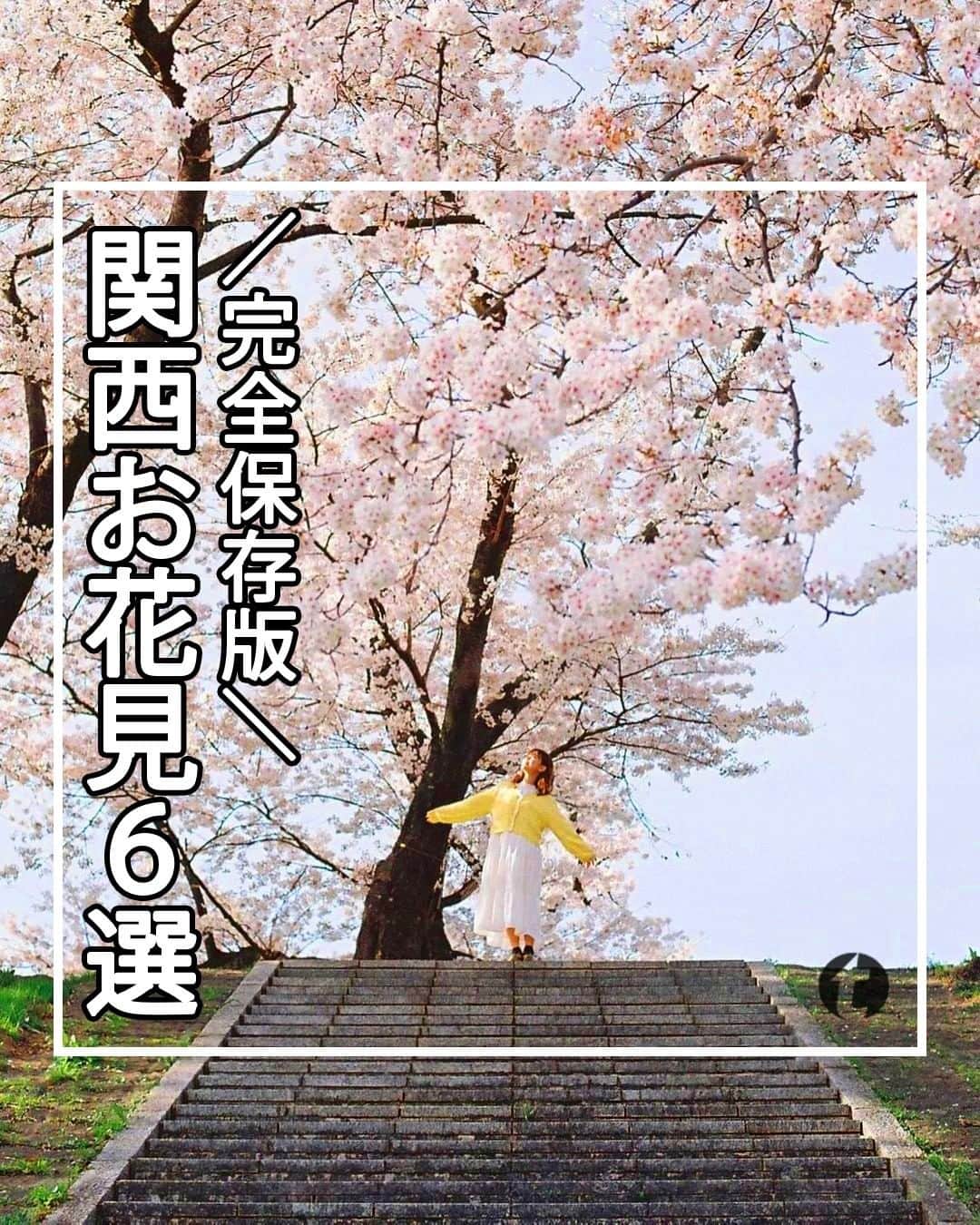旅工房公式のインスタグラム：「＼もうすぐ見頃！桜の名所／  #関西 #お花見スポット #桜スポット  皆さんこんにちは！ 暖かくなってきて、昼間はアウターもいらないくらいの暖かさ…☀ 桜のつぼみも歩いていると目に入るようになってきました～！ そんな今日は。お花見スポットを関西に絞ってまとめてみました🌸  ぜひ参考にして訪れてみてください＼(^o^)／ 💚  ━━━━━━━━━━━━━━━ ▽ お写真ありがとうございます❣  📍大阪城公園 @satomi24jp さん 広大な大阪城公園全体を約3000本の桜が埋め尽くす春だけの絶景スポット！ 玉造口には遅咲きの八重桜が咲くのでシーズン最後まで楽しむことが出来ますよ！  開花時期▷開花時期：3月下旬～4月中旬  アクセス▷JR大阪城公園駅 / JR・地下鉄森ノ宮駅 / 地下鉄谷町四丁目駅　下車すぐ   📍淀川河川公園背割堤地区 @masa_nikonist さん 1.4kmに渡って満開のソメイヨシノがピンクのトンネルのようになる絶景スポット！ 3/25（土）～4/9（日）には「背割堤さくらまつり」が開催されます！  開花時期▷3月下旬～4月上旬 アクセス▷京阪電車 石清水八幡宮駅から徒歩約10分  ※3月25日(土)～4月4日(火)の間、 阪急西山天王山駅より会場までのシャトルバスが運行予定。  📍円山公園 @mitchan313 さん 回遊式日本庭園が中心の京都市内最古の公園。 見どころは歌人・与謝野晶子も愛でたという「祇園のシダレザクラ」。 夜はライトアップもされ、昼とは違った雰囲気になりますよ。  開花時期▷3月下旬～4月上旬 アクセス▷地下鉄東西線 円山公園駅下車 ３番出口から徒歩5分   📍十石舟 @haruhanafusa さん 江戸時代の輸送船を再現した遊覧船に乗りながら桜を楽しめるおすすめスポット！ 江戸時代にタイムスリップしたような気分で桜を鑑賞できます◎  開花時期▷3月下旬～4月上旬 アクセス▷京阪本線・宇治線 中書島駅下車後徒歩約5分   📍おの桜づつみ回廊 @hina51034 さん 西日本最大級の小野の桜並木！長さはなんと全長約4㎞！ 時期によっては菜の花も割いているので、ピンクと黄色のかわいい景色を見ることが出来ます◎  開花時期▷3月下旬～4月上旬 アクセス▷JR・神戸電鉄粟生駅から徒歩15分 2023年4月1日(土)・2日(日)はシャトルバス運行あり ※詳細は市公式サイトをご確認ください。  📍吉野山 @tatsuya_yoshikawa さん 桜の名所として有名な奈良のお花見スポット。 シロヤマザクラを中心に約200種3万本の桜が山全体を埋め尽くします！ 標高によって開花時期が違うので長く桜を楽しめますよ♪  開花時期▷ 3月下旬～4月中旬 アクセス▷お花見の場所によってアクセスが変わるので、公式ＨＰをチェック！  海外・国内問わず、素敵なスポットやグルメ、アイテムの写真にはぜひ #旅工房 や @tabikobo をタグ付けして下さい💕 ━━━━━━━━━━━━━━━  #旅工房 #旅pocket #旅行好きな人と繋がりたい #大人旅 #旅スタグラム  #タビジョ #女子旅 #お花見 #桜の名所 #桜 #お花見 #花見 #桜ライトアップ #桜まつり #桜祭り #お花見デート #お花見ピクニック #お花見散歩 #お花見ランチ #お花見ドライブ #関西桜 #大阪桜スポット #桜並木 #夜桜 #夜桜ライトアップ #春のお出かけ」