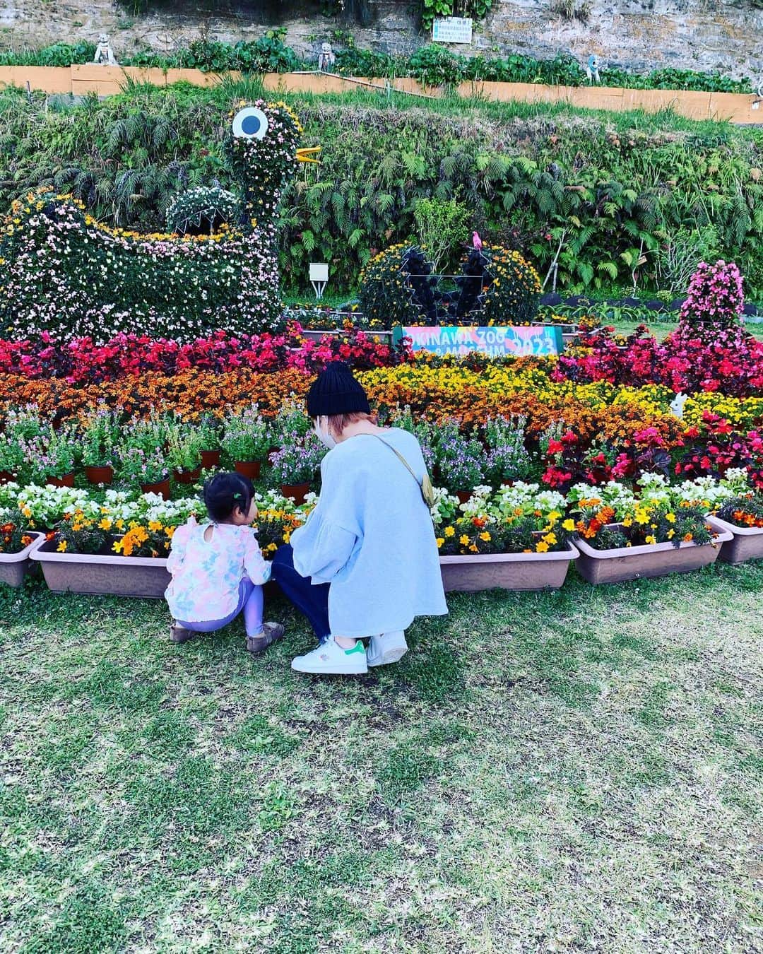 糸数美樹さんのインスタグラム写真 - (糸数美樹Instagram)「沖縄こどもの国の花まつり行ってきた お花綺麗に咲いてて可愛かったー😊 ウェルカムゲート目の前にあるお花の塔？みたいなところで是非写真撮ってみて！！ しにお花のいい匂いするのよ🫧 セラムも近くで見られたし楽しい週末でした✌️  15日からブーゲンビレアの空間も登場するらしーのでまた行こう🫶✨  #沖縄こどもの国 #花まつり #26日までってよー #チューリップ可愛かった #娘がセラムになにしてるねーんってまーまーのツッコミしててわらう」3月13日 12時40分 - mikitney0331