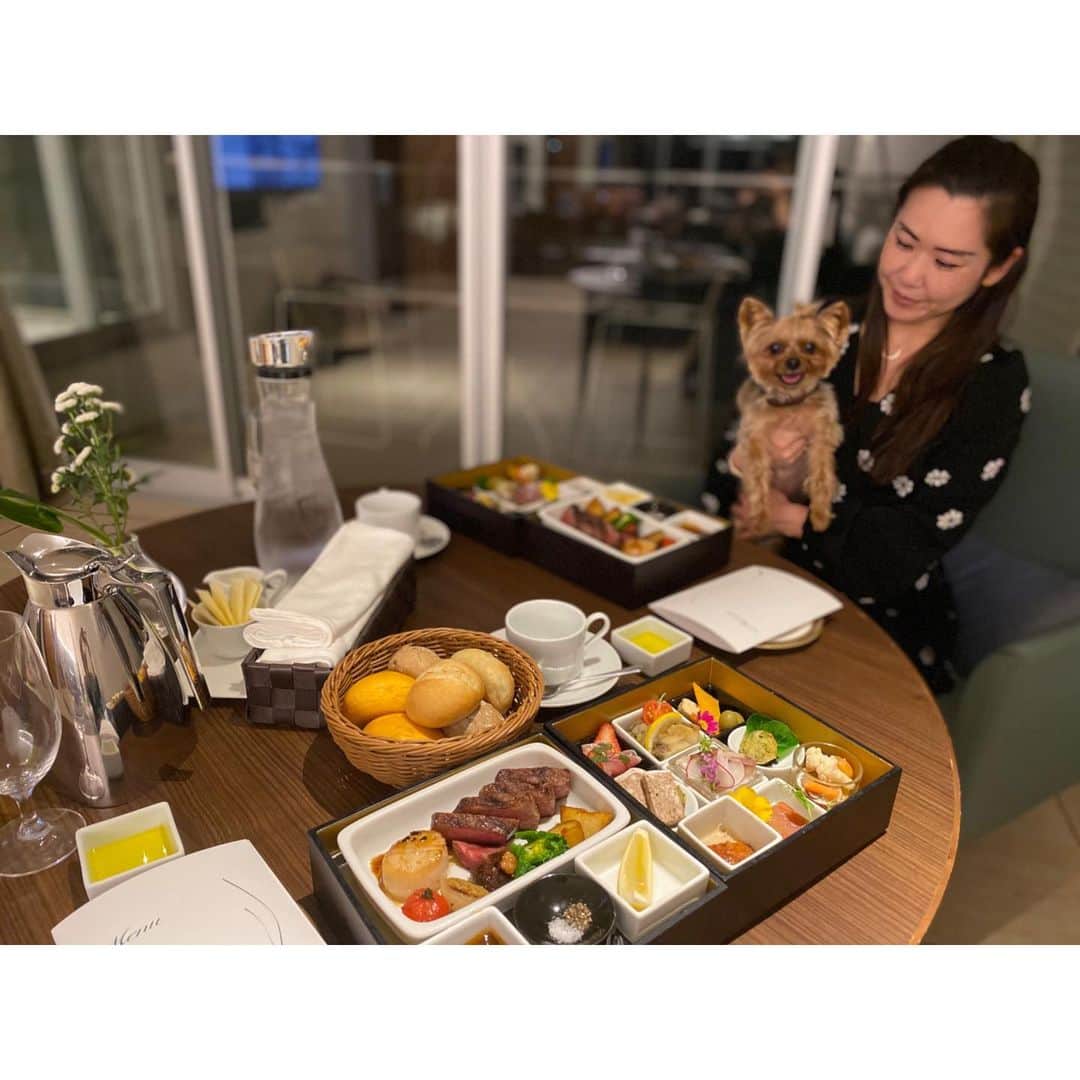 のインスタグラム：「箱根ハイランドホテル( @hakone_highlandhotel )〜ご飯編〜  パパとママの一番の楽しみはご飯！ ということで人間のご飯のご紹介。  ドッグフレンドリールームではお部屋でご飯が食べられるから ルビーは一人でお留守番することもなく安心でした。  晩御飯はメインがお肉！ ルビーも食べたくなっちゃうくらい とっても美味しい香りがしていたよ。  お部屋食だけど温かいまま食べられるように 器に仕掛けがあって、それもよかったってママが言ってた。  デザートは冷蔵庫にいれておいてくれるから 自分たちのタイミングで食べることができるよ。 私の食べれるものはあるかな〜ってヨダレ垂らしながら探したら フルーツがあったからちょっとだけもらっちゃった。  朝ごはんもお部屋で。 この日は雪が降っていたからお部屋で食べたけど 暖かい時期はテラスで食べるのもとっても気持ちよさそう！ 試しにテラスに出てみたけど寒かったからすぐ退散しちゃった。 でもぬくぬくの室内で雪を眺めながらいただく朝ごはんも とっても美味しかったって。  ご飯がとっても美味しいからさらにまた来たくなっちゃう って食いしん坊のママがずっと言ってたから きっとまたここに遊びにこれるかなって期待してるよ。  #箱根ハイランドホテル #hakonehighlandhotel  #yorkie #yorkshireterrier #ヨーキー #ヨークシャテリア #愛犬と旅行 #箱根 #travelwithdog」