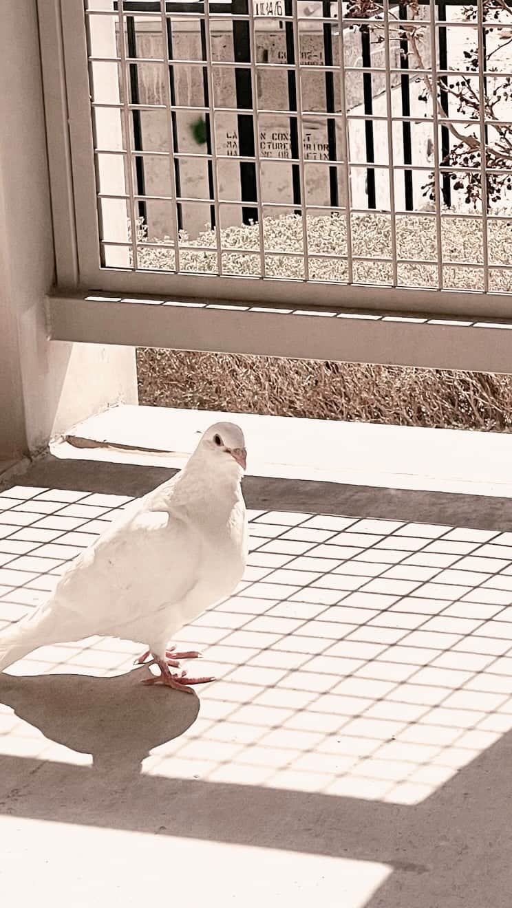 村主章枝のインスタグラム