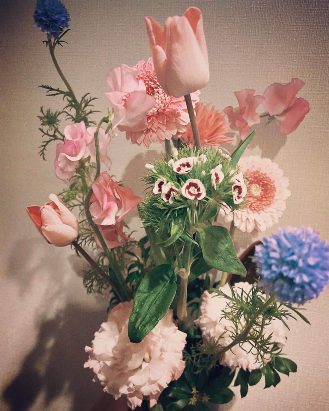 鳥越裕貴さんのインスタグラム写真 - (鳥越裕貴Instagram)「🌷 #花 #生花  #最近頂いた花をオアシスに刺す #生花むじぃけど楽しいね #綺麗 💐」3月14日 0時13分 - yuki_torigoe.cleftchin
