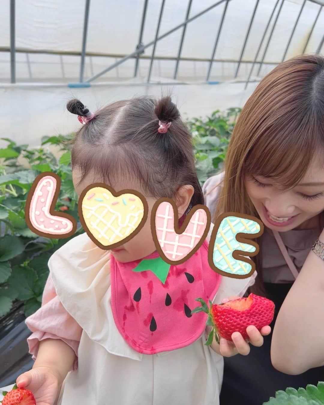 野田彩加さんのインスタグラム写真 - (野田彩加Instagram)「いちご狩りに行ってきたよ🍓 娘は初めてのいちご狩り🤭 いちご大好きなんだけど、いちご狩りがわからないから、食べていいんだよ〜ってのはわからないけど、大好きな🍓がたくさんあるから嬉しそうだった😍 たくさん食べてたよ🍓🍓 #いちご狩り　#strawberry #🍓　#春だね #子連れお出かけ #初めてのいちご狩り」3月13日 18時22分 - aya.205