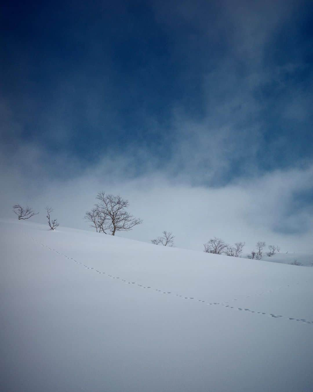 吉田拓巳さんのインスタグラム写真 - (吉田拓巳Instagram)「今シーズンの締めくくりは旭岳の大雪山で。念願のバックカントリーを体験して地球を感じまくり。 6時間オーバーのハイクは、、、、本当に過酷でしたが、良い体験！ @toshi_totori ガイドありがとうございました！  @masaki.matsui1101 大変ありがとうございました！  それにしてもサブ機で買ったRICOHのGRが超優秀、ほぼ無加工でこの写真たちがサクッと撮れて、過酷な場所におすすめです。笑  #旭岳  #大雪山  #Asahidake」3月13日 18時45分 - tkmivj