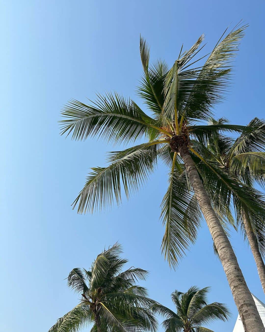 柳田菜月のインスタグラム：「🌴 . #バンコク #思い出 #パタヤビーチ #暑すぎた」