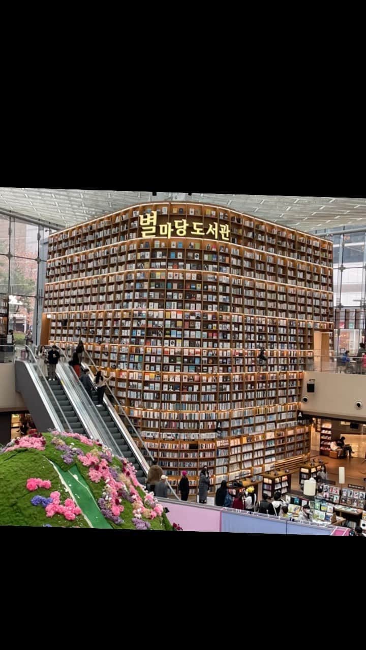 楠紗友里のインスタグラム：「🥹🥹🥹❤️❤️❤️  #별마당도서관 #ピョルマダン図書館 #江南coex」