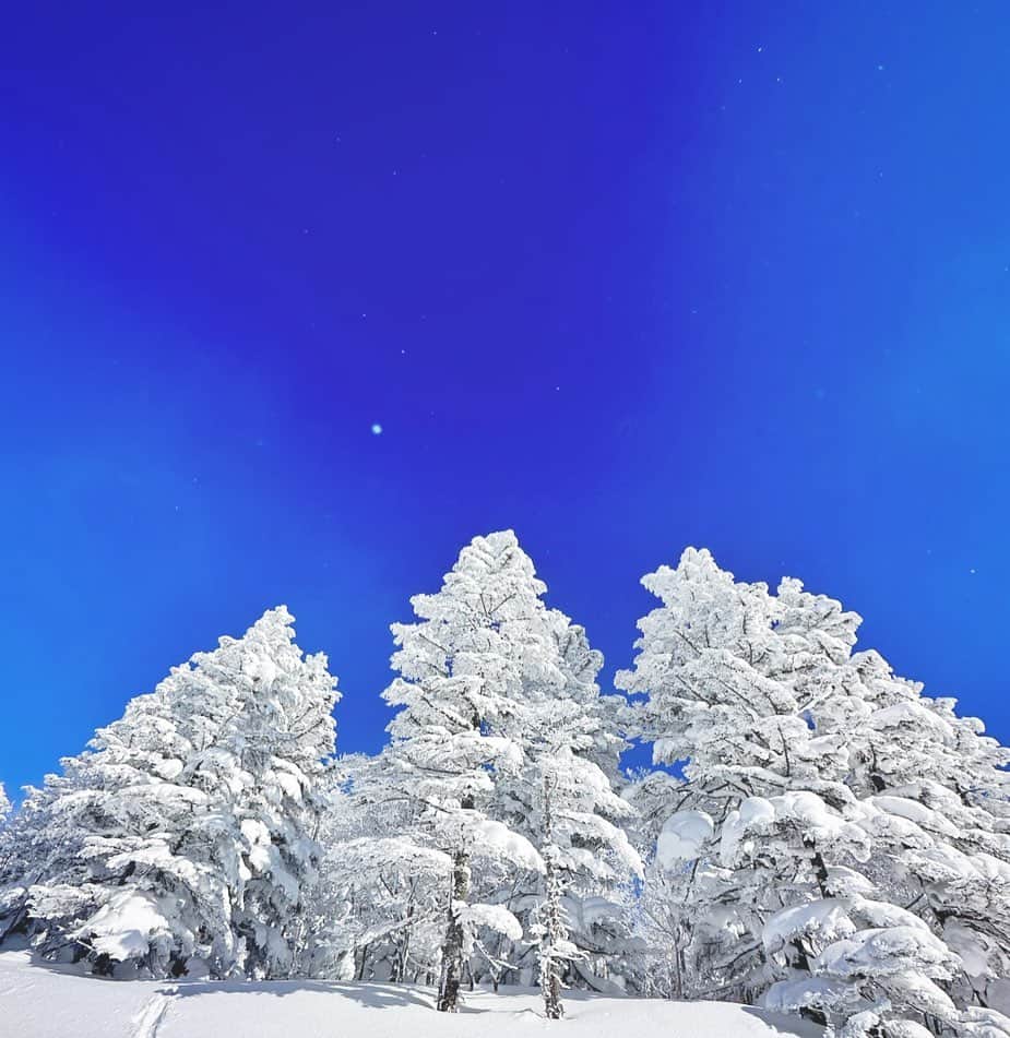 三星マナミのインスタグラム：「❄︎ ❄︎ 真っ白×真っ青  🤍×💙  呼吸深まるその瞬間が恋しい♡」