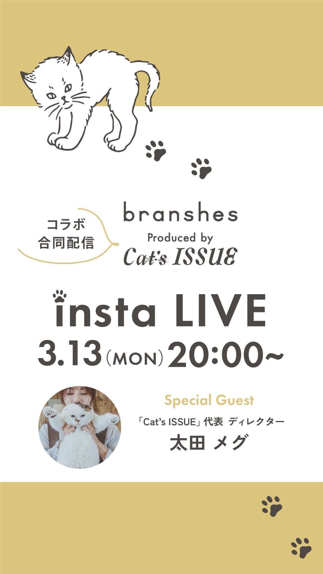 branshesのインスタグラム