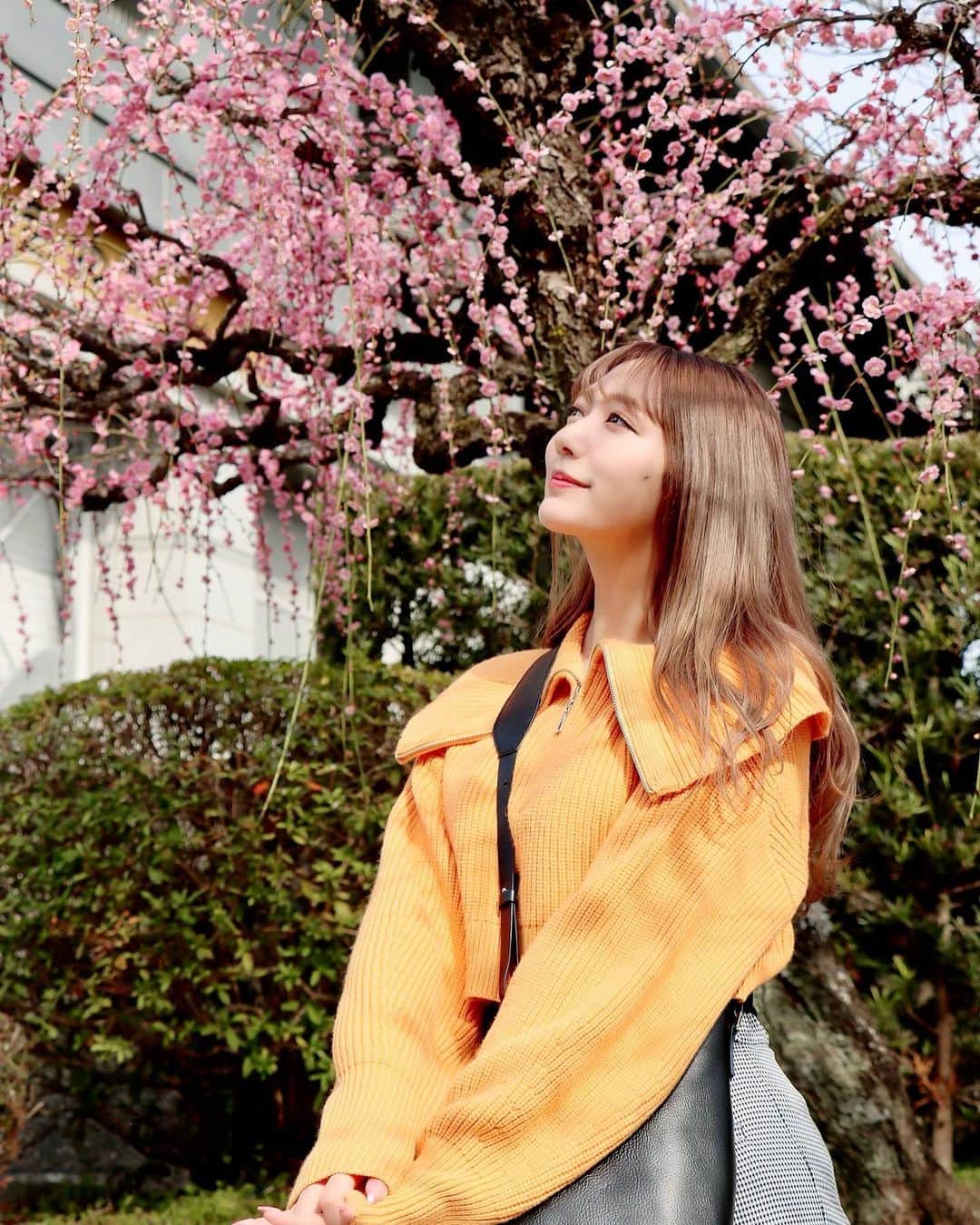 野中美郷のインスタグラム：「♡ 梅かわいい。 #梅の花 #太宰府天満宮  #福岡」