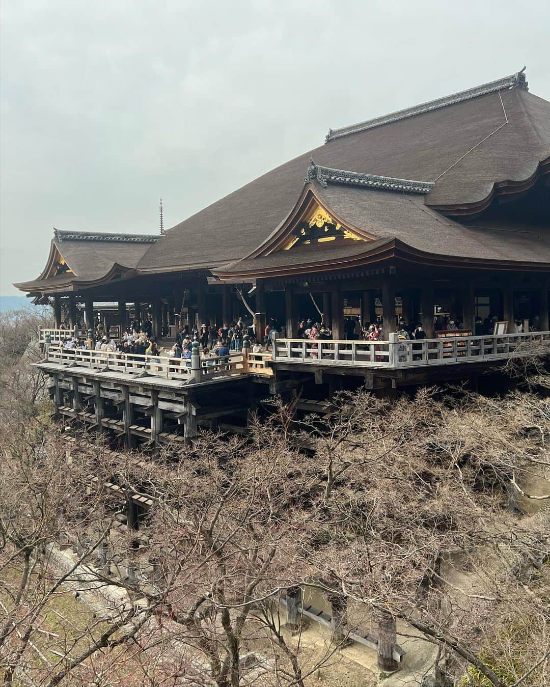 ちぃさんのインスタグラム写真 - (ちぃInstagram)「日帰り京都  中学の修学旅行ぶりに清水寺行ってきた🏃‍♀️💨 地主神社も行きたかったのに入れんことなっとって悲しかった🥹 縁結びしたかったのに😭笑 たくさん歩いてたくさん喋って楽しかったからまた行きたいなー🤩   #京都  #京都観光  #清水寺  #清水寺食べ歩き  #着物」3月13日 21時49分 - skyteam_chii