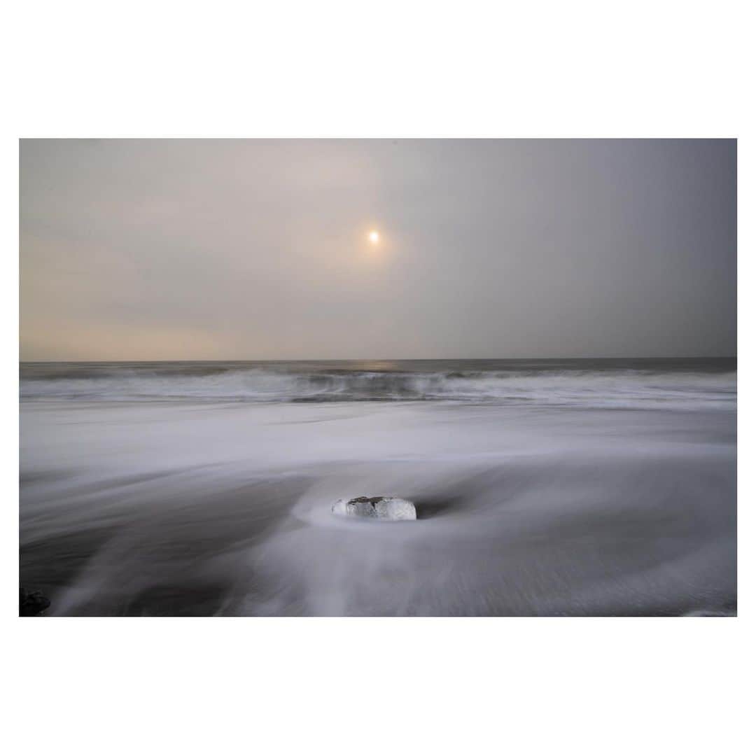 Hikaruのインスタグラム：「Only one white. . .  #東京カメラ部 #1x  #raytrek #raytrek_photo  #raytrek_uniquetome #natgeo #naturegeography #photogrena_nature  #photo_shorttrip  #japan #hokkaido #写真好きな人と繋がりたい #北海道 #jpan_ilc #japantravelers  #raytrek_photographer #SonyAlphaPro  #photo_shorttrip #photo_travelers #lovers_nippon #1x_japan #bestjapanpics #SonywordClub #genic  #alpha_newgeneration #nisifilters」