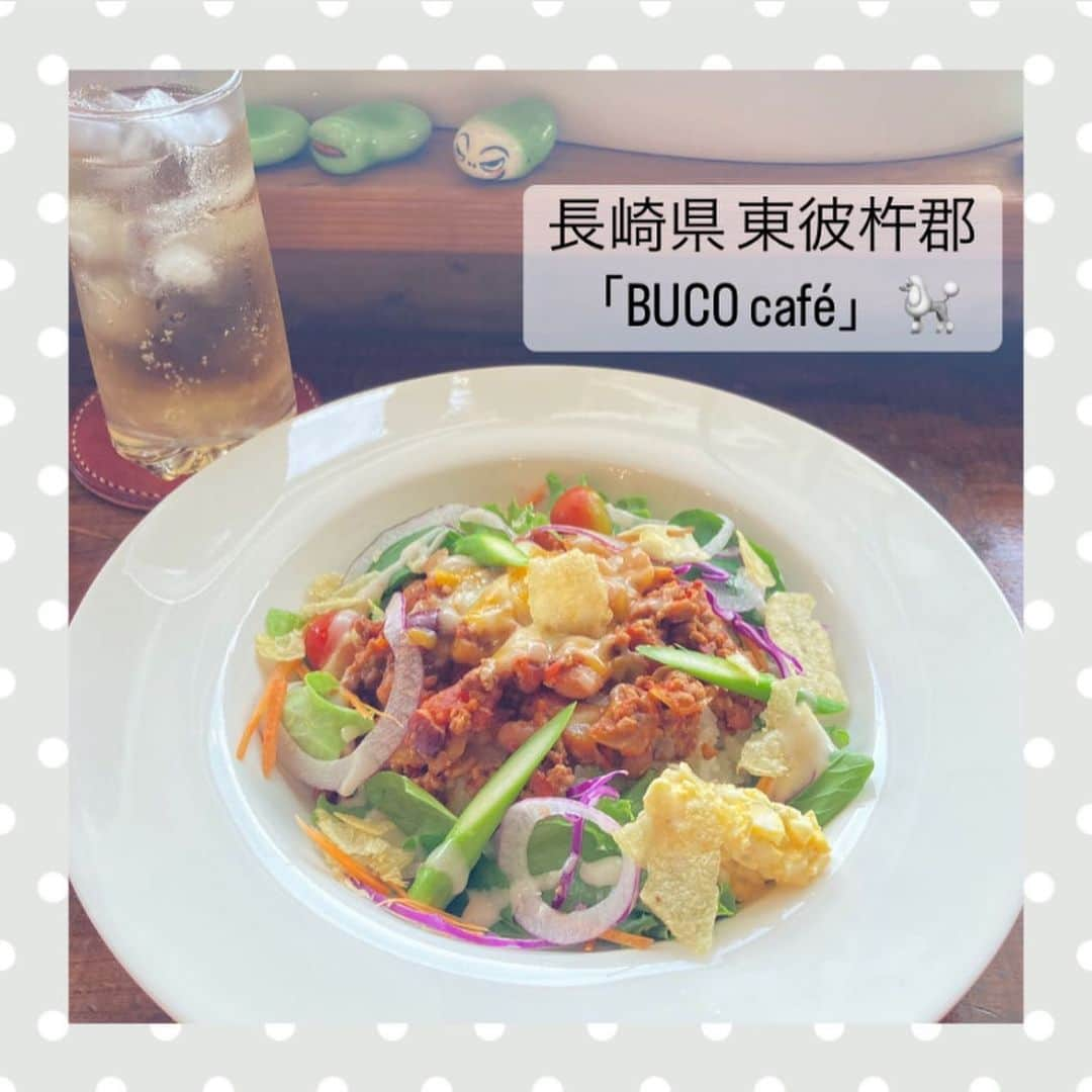 池田楓のインスタグラム：「♡  #かえにゃんと長崎散歩   「BUKO cafe」 さん  海を眺めながら美味しいご飯やスイーツを 楽しむことができます！  私が食べたのはタコライス！とっても美味しかった🍅  店内はわんちゃんもOK！わんちゃんを 飼っている方がちらほらいて癒されました〜🐶  今年も大好きな地元長崎でお仕事ができますように💭  📍 長崎県東彼杵郡川棚町三越郷140-39  食べたくなったらいいね♡と コメント、保存よろしくお願いします！  #長崎 #長崎ランチ #長崎グルメ #犬 #ドッグカフェ  #川棚 #東彼杵 #ランチ #海」