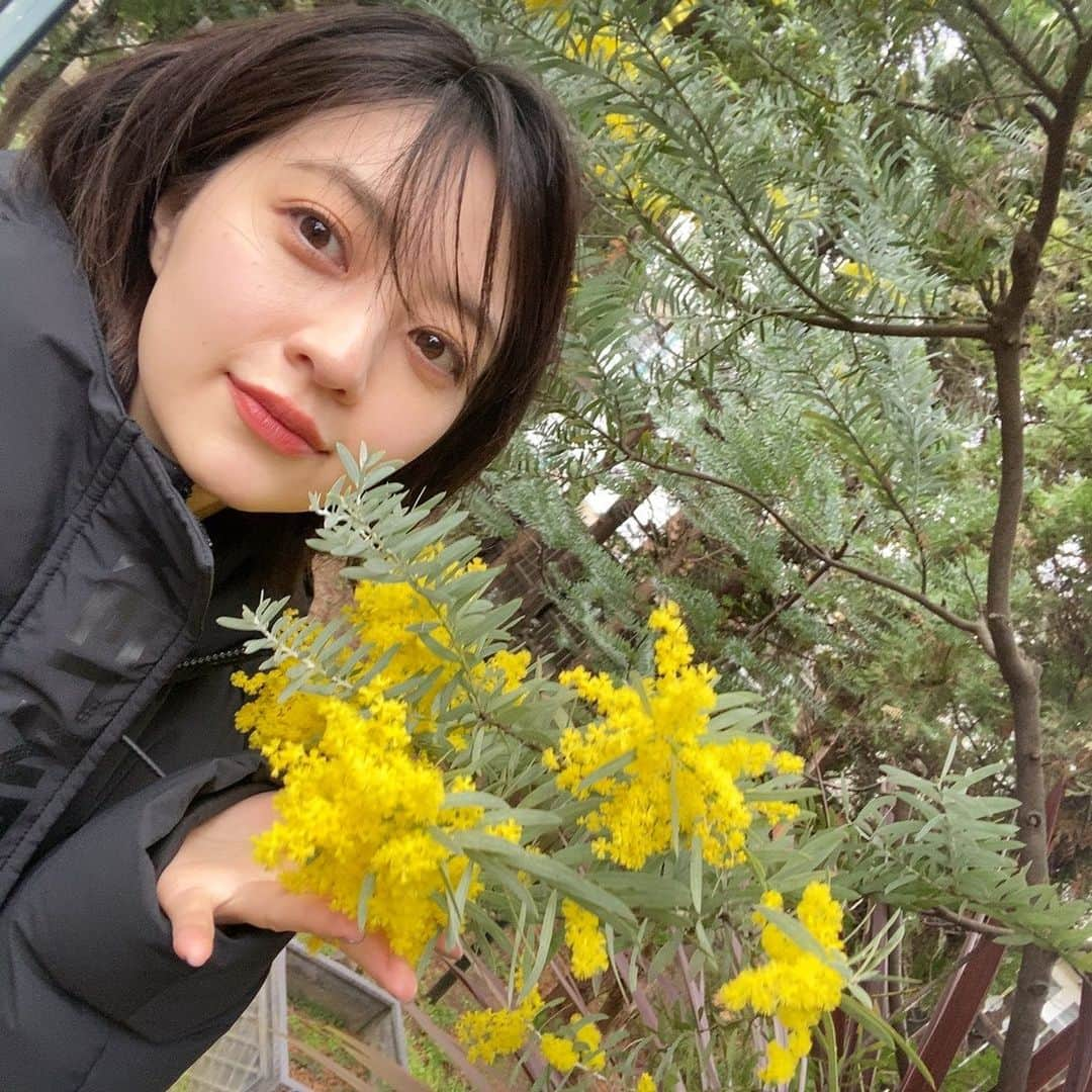 逢沢りなさんのインスタグラム写真 - (逢沢りなInstagram)「ロケ現場に🌼🌼 綺麗に咲いていたので沢山写真撮っちゃいました~‼︎」3月13日 22時28分 - aizawarina0728