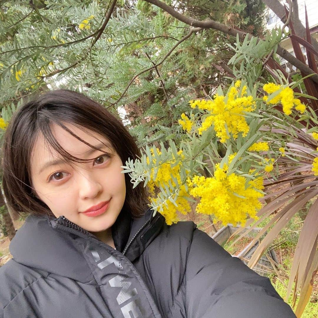 逢沢りなさんのインスタグラム写真 - (逢沢りなInstagram)「ロケ現場に🌼🌼 綺麗に咲いていたので沢山写真撮っちゃいました~‼︎」3月13日 22時28分 - aizawarina0728