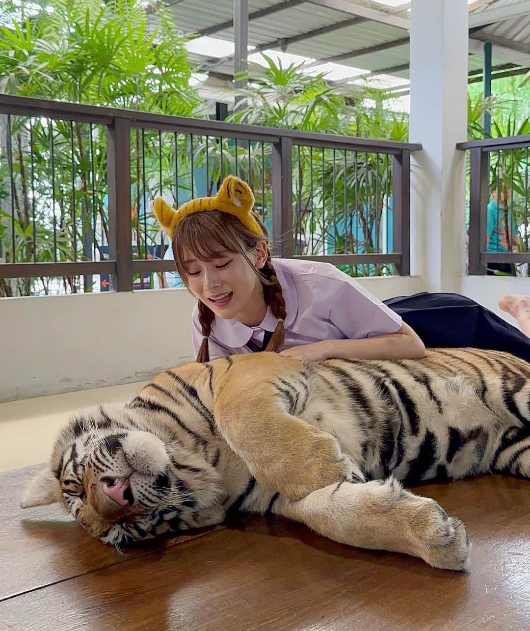 福岡みなみのインスタグラム：「・ パタヤのタイガーパーク🐯 子供の頃から虎の赤ちゃん 抱っこしてみたかったから めちゃくちゃ嬉しかった✨ 石鹸の匂いした🐯🍼  #pattaya #tigerpark」