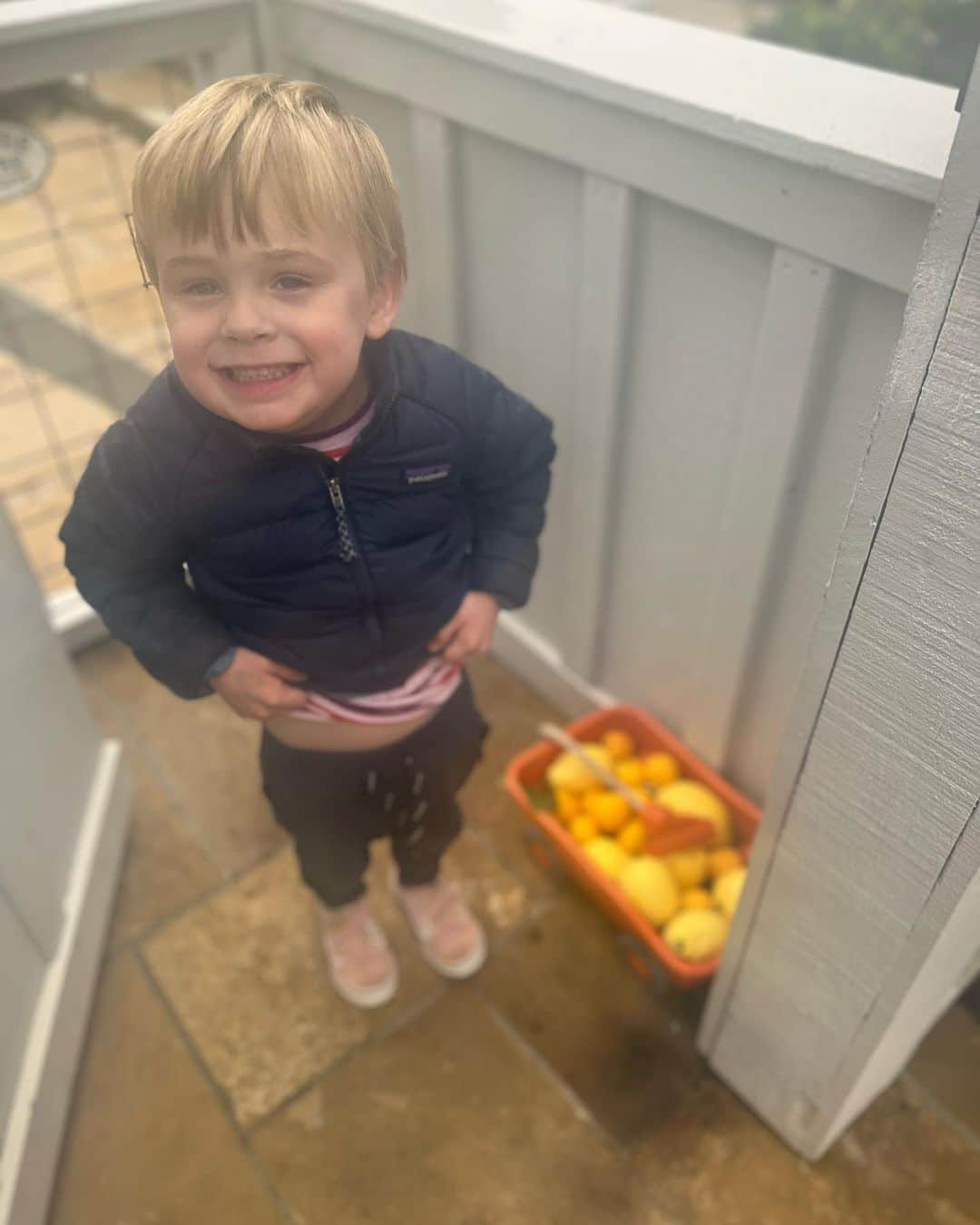 ジェーン・リンチのインスタグラム：「My neighbor Perry dropped off some lemons from his tree. I will make him lemon bars.」