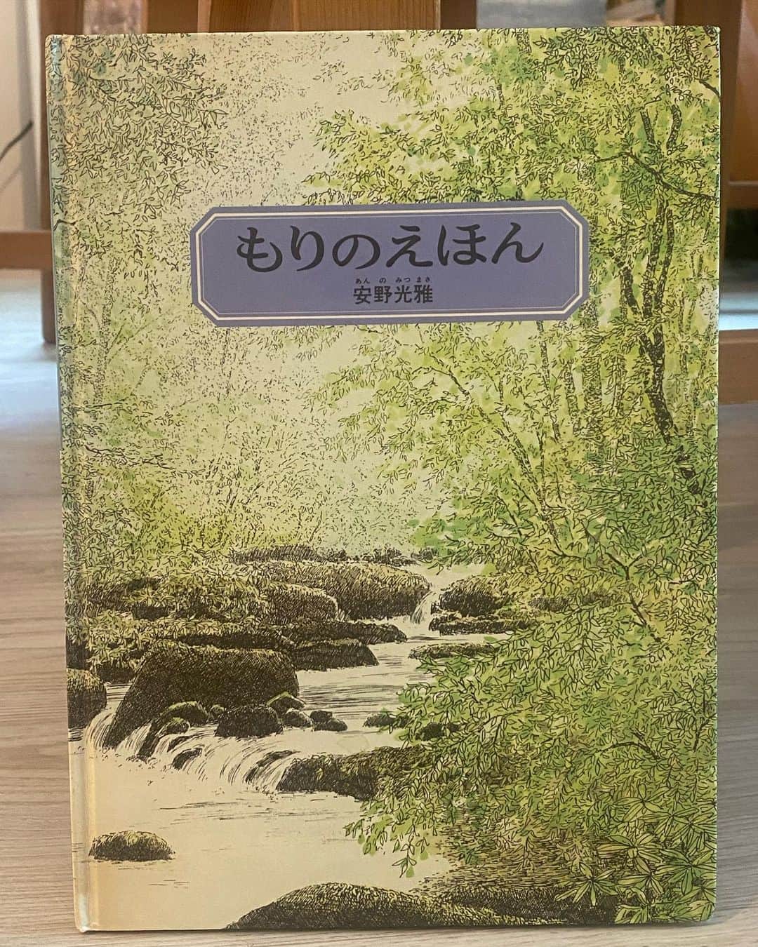 奥田恵梨華のインスタグラム：「#もりのえほん #安野光雅  子供の頃大好きだった絵本 森の中に隠れた動物を見つける 何回見ても飽きない文字のない本。 今は娘が大好きな本。 旅の絵本シリーズも好きでした。 #絵本 #奥田の今の本」