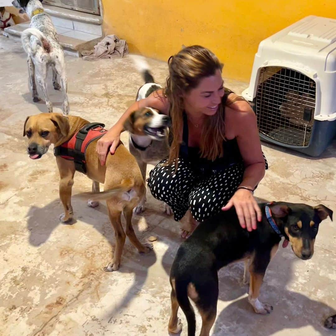 ルイス・グローバーさんのインスタグラム写真 - (ルイス・グローバーInstagram)「New career: My life changing moment volunteering w rescued dogs in Mexico. I came back to England & started a Dog rescue walking & sitting Business, & now I’m studying dog behaviour training. I finally found a passion. - helping rescue dogs, they have a lot of behaviour problems from past traumas. But once over barriers & challenges they have the biggest & most loving of hearts 💕 shine through. (I resonate so much with the rescued dogs, it sparked a passion to help)  • I’m sad some of these lovely dogs can’t ever walk, haven’t been re-homed & a few passed away. I’ve been raising awareness to get the support needed for @refugioanimalholbox in Mexico as medication isn’t cheap! Sending my love to all the local volunteers who run the rescue dog centre in Holbox! I’ll be returning to more dog rescues around the world but  my Mexican Dog rescue centre will always have my heart ♥️ & I’ll return one day soon to what’s deeply inspired me to work closer with nature! #nature #volunteer #dogrescues findyourtribe #passion #findyourpassion #dogrescue #animallover #dogbusiness」3月14日 4時40分 - louiseglover