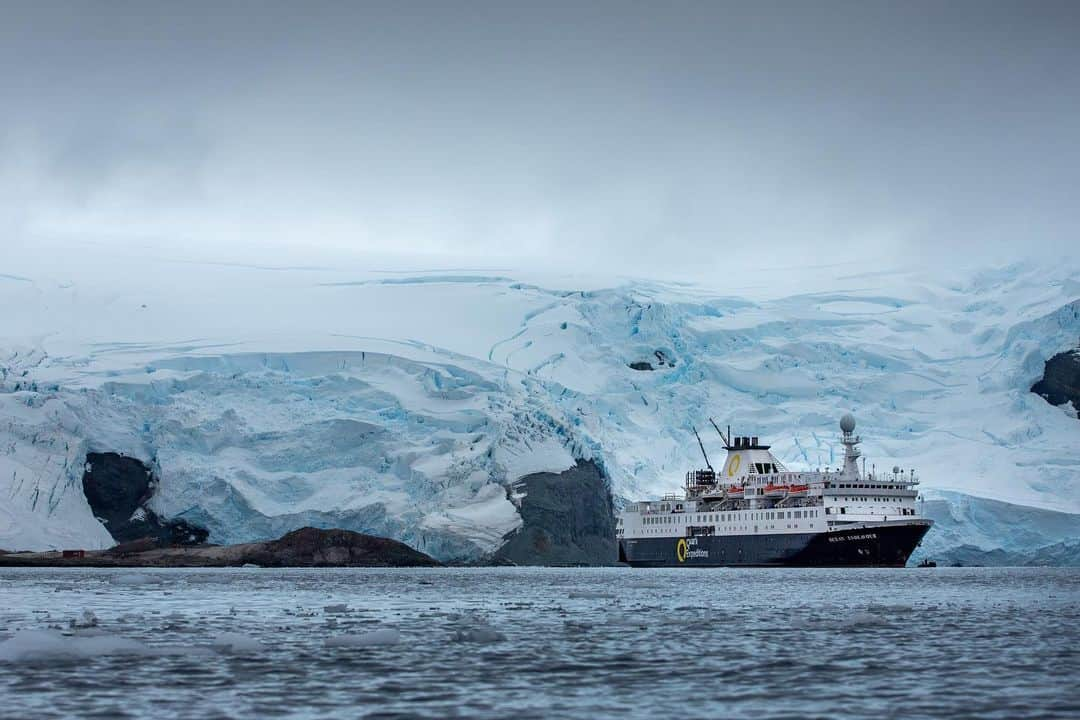 マイケル・ドーソンさんのインスタグラム写真 - (マイケル・ドーソンInstagram)「For any young kiwis you have until Sunday to apply for the expedition to South Georgia Island.  The @antarcticheritage is looking for 22 Kiwis to explore South Georgia Island to mark the centenary of Sir Ernest Shackleton's final expedition. All the details here: https://inspiringexplorers.co.nz/」3月14日 7時49分 - mrmikedawson