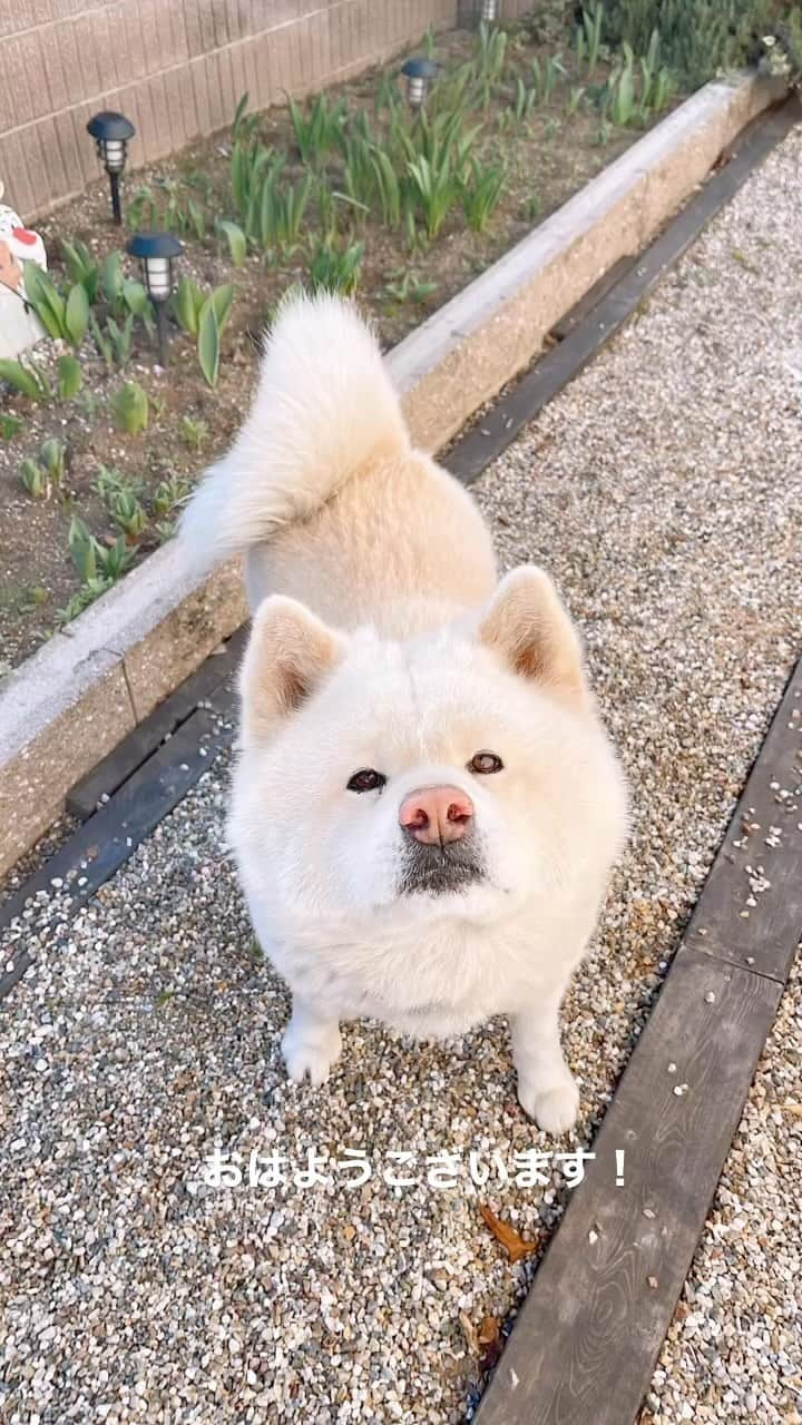 水谷雅子のインスタグラム