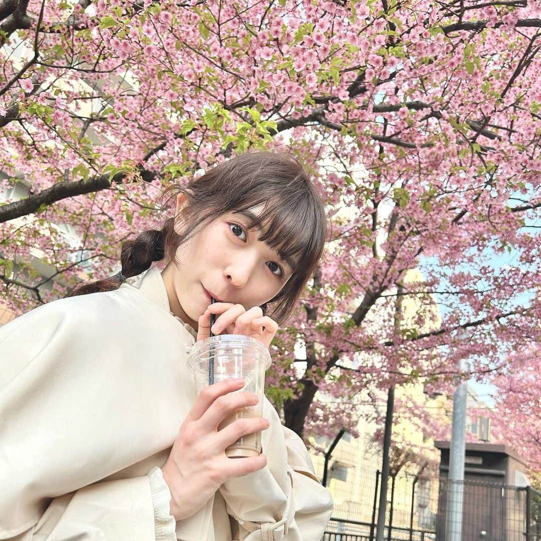 小泉遥香のインスタグラム：「.🌸🤍🫧  お花咲いてた～«٩(*´ ꒳ `*)۶»  このお花はなぁに？？？笑笑  #instaharum #小泉遥香 #アイドル」