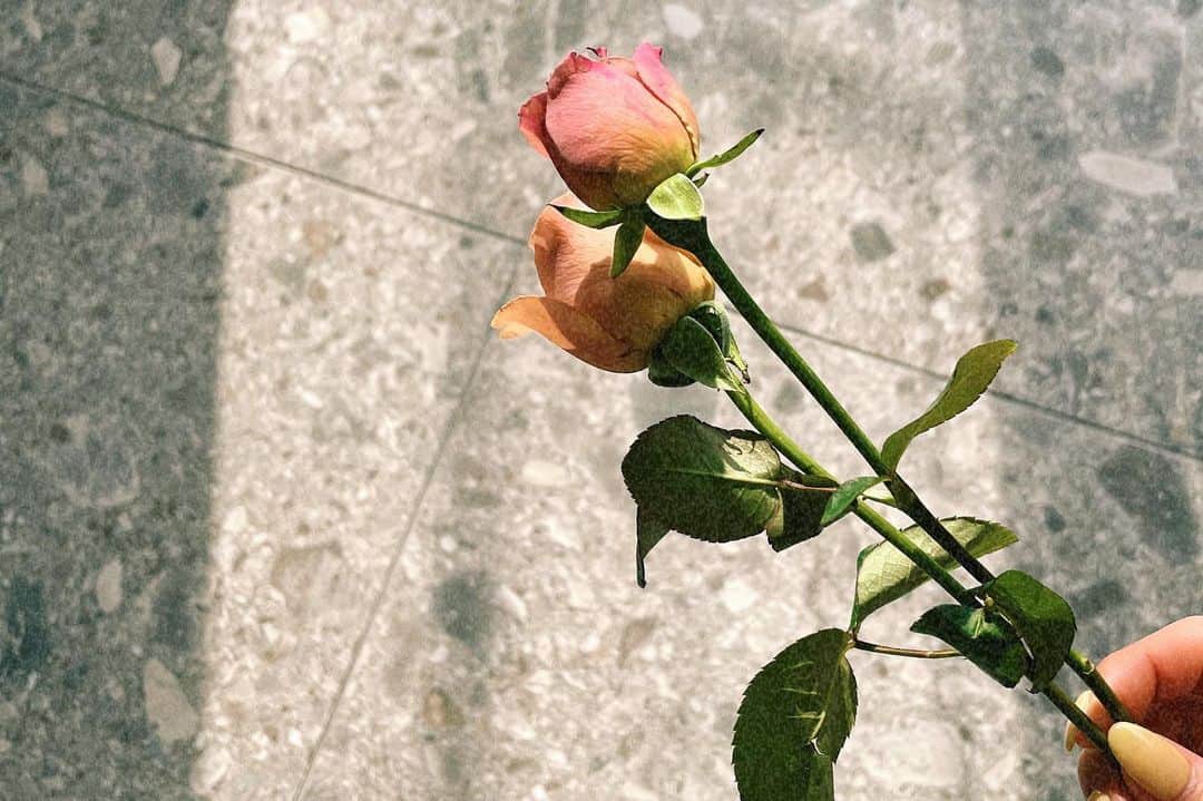 小室安未さんのインスタグラム写真 - (小室安未Instagram)「🪴☀︎  感情を文字にのせるってハイカロリーで難しい　ね  毎日花粉と戦ってます🤝🏻 #🌱」3月14日 18時45分 - ami_komuro