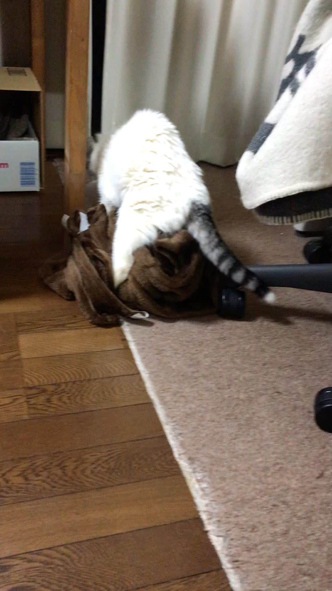栗原まもるのインスタグラム：「ジムといえばこれ② たまには大物で。」
