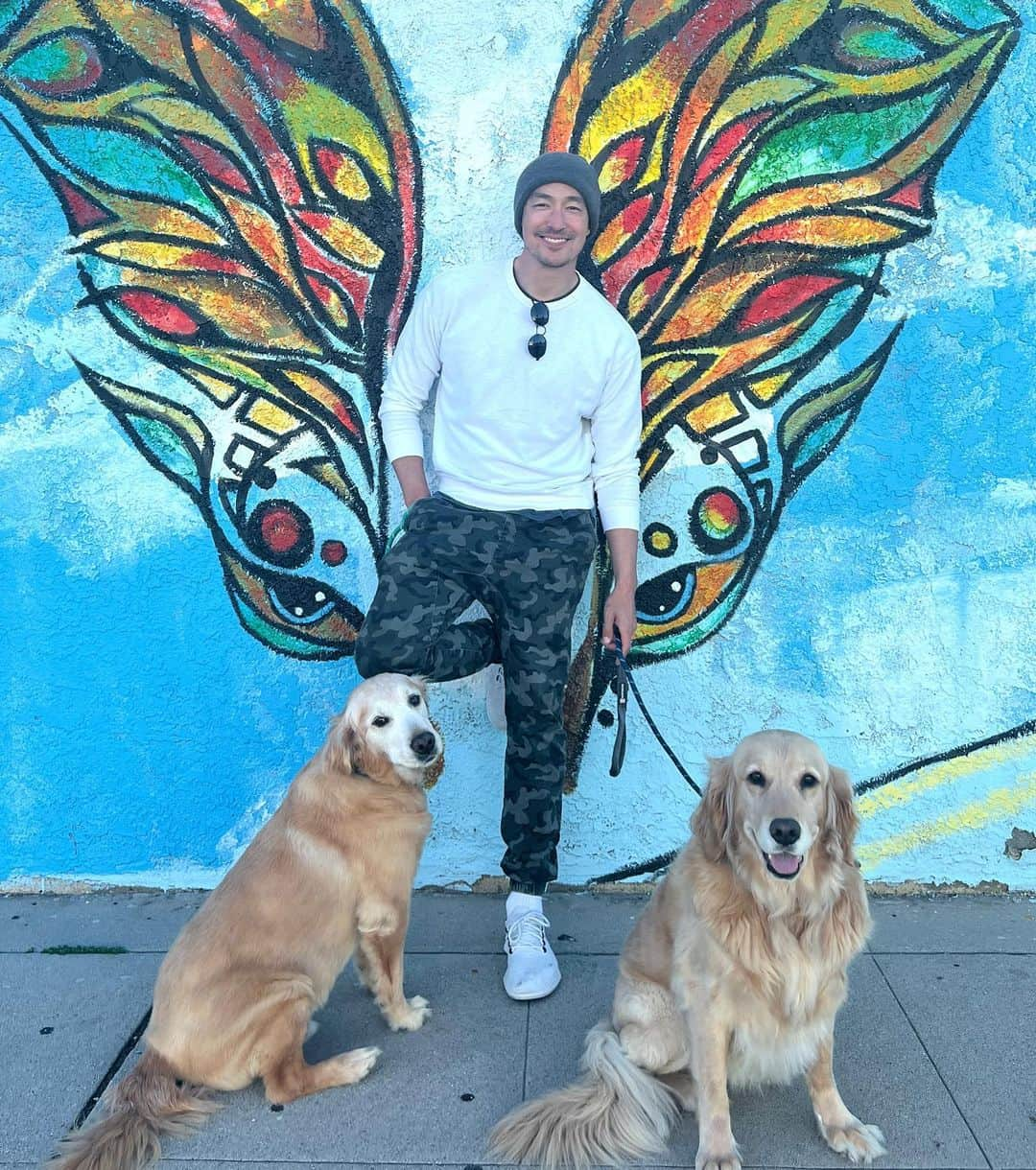 ダニエル・ヘニーさんのインスタグラム写真 - (ダニエル・ヘニーInstagram)「Sunshine n’ smiles..Monday walk with the pack:) #rufflife #goldenretriever #roscoe #juliette」3月14日 11時27分 - danielhenney